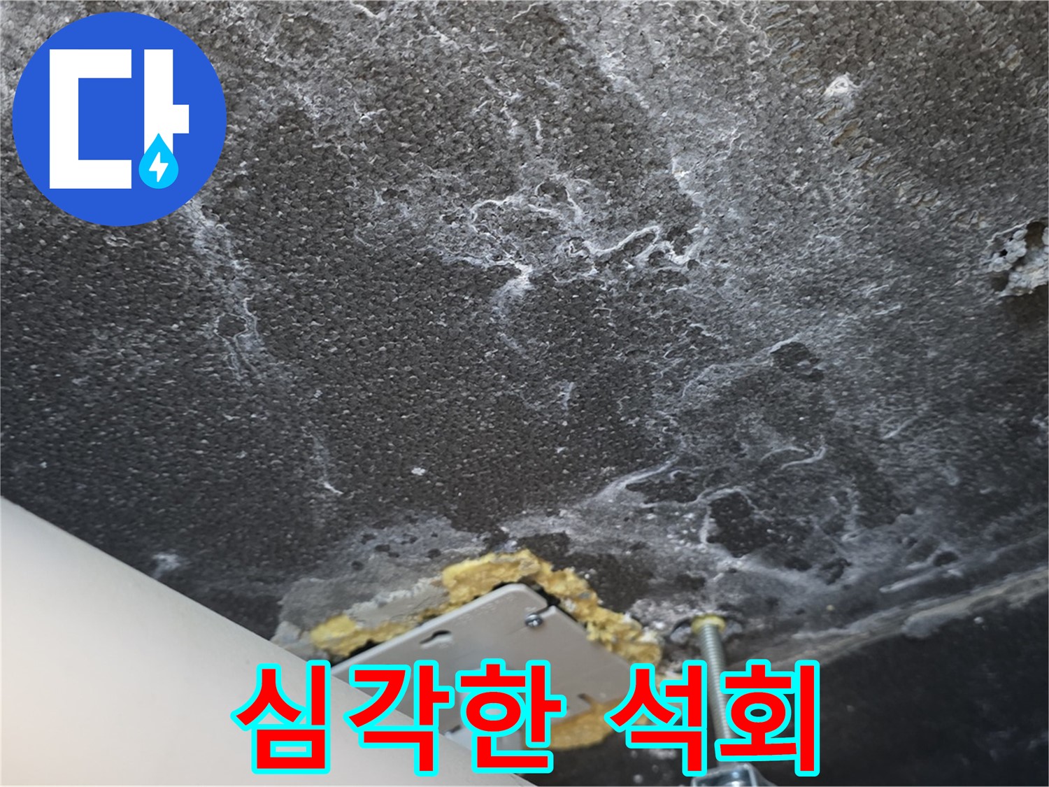 운정 어반프라임 누수 - 심각한 천장 석회 누수 상황