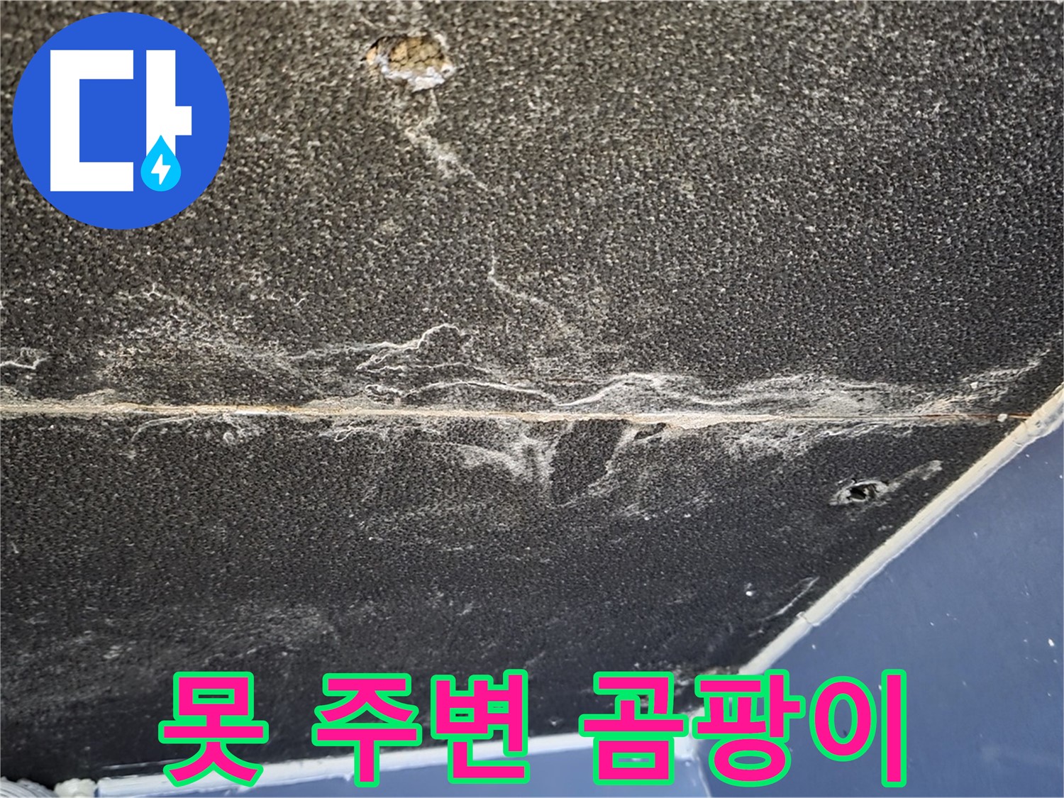 운정어반프라임 못 곰팡이 - 석고보드 못 주변 곰팡이 발생