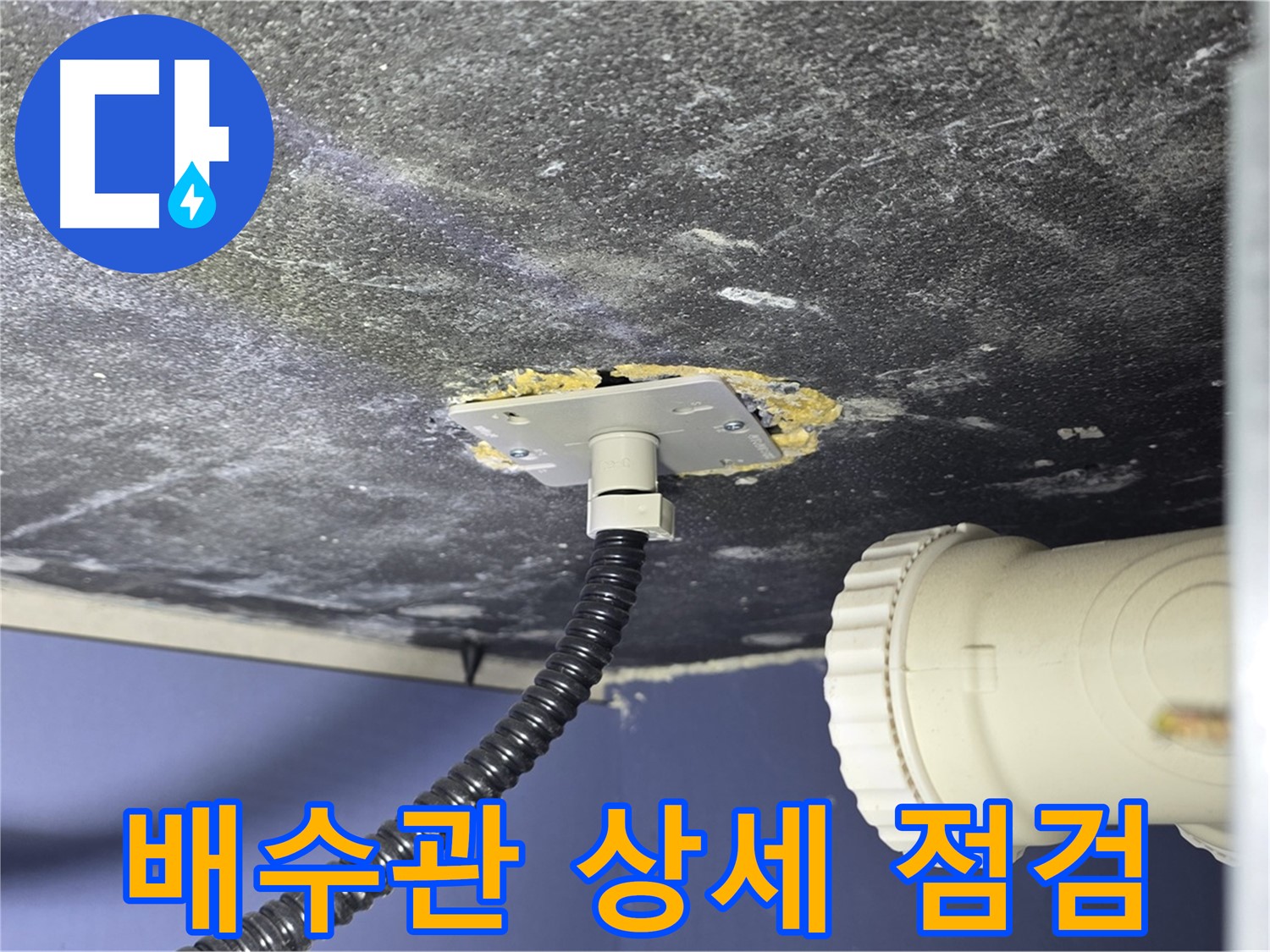 운정어반프라임 싱크대 누수 - 배수관 연결부 상태를 상세하게 점검하는 모습