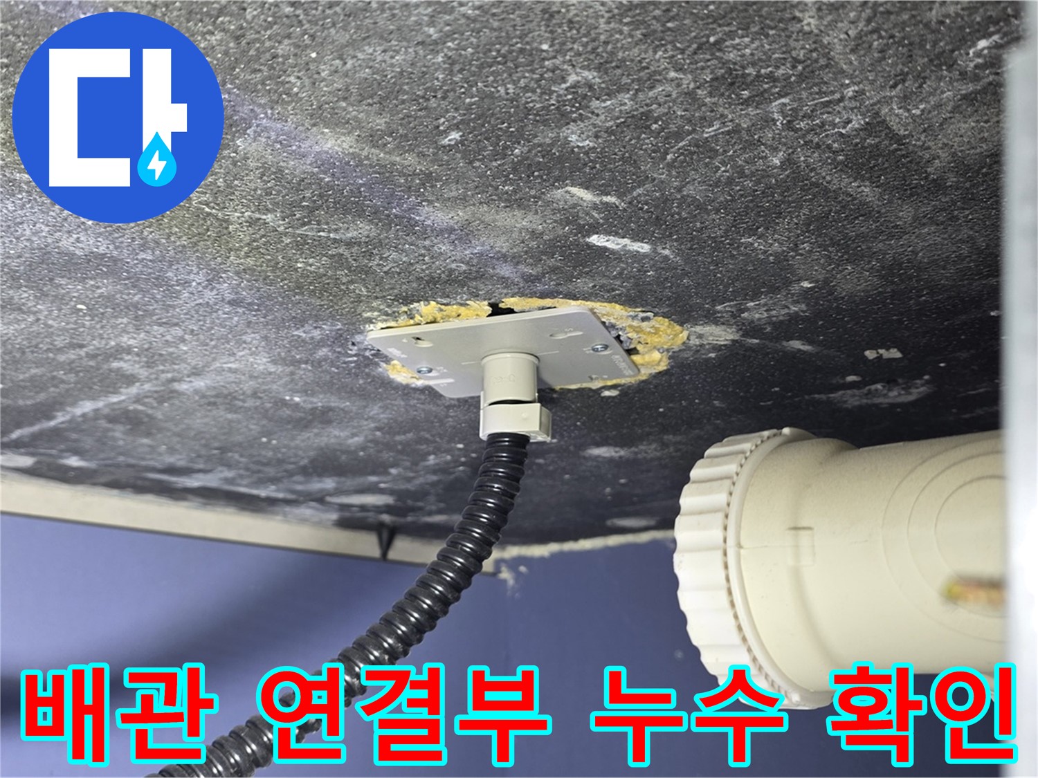 운정어반프라임 욕실 누수 - 배관 연결부에서 누수 지점을 확인하는 모습