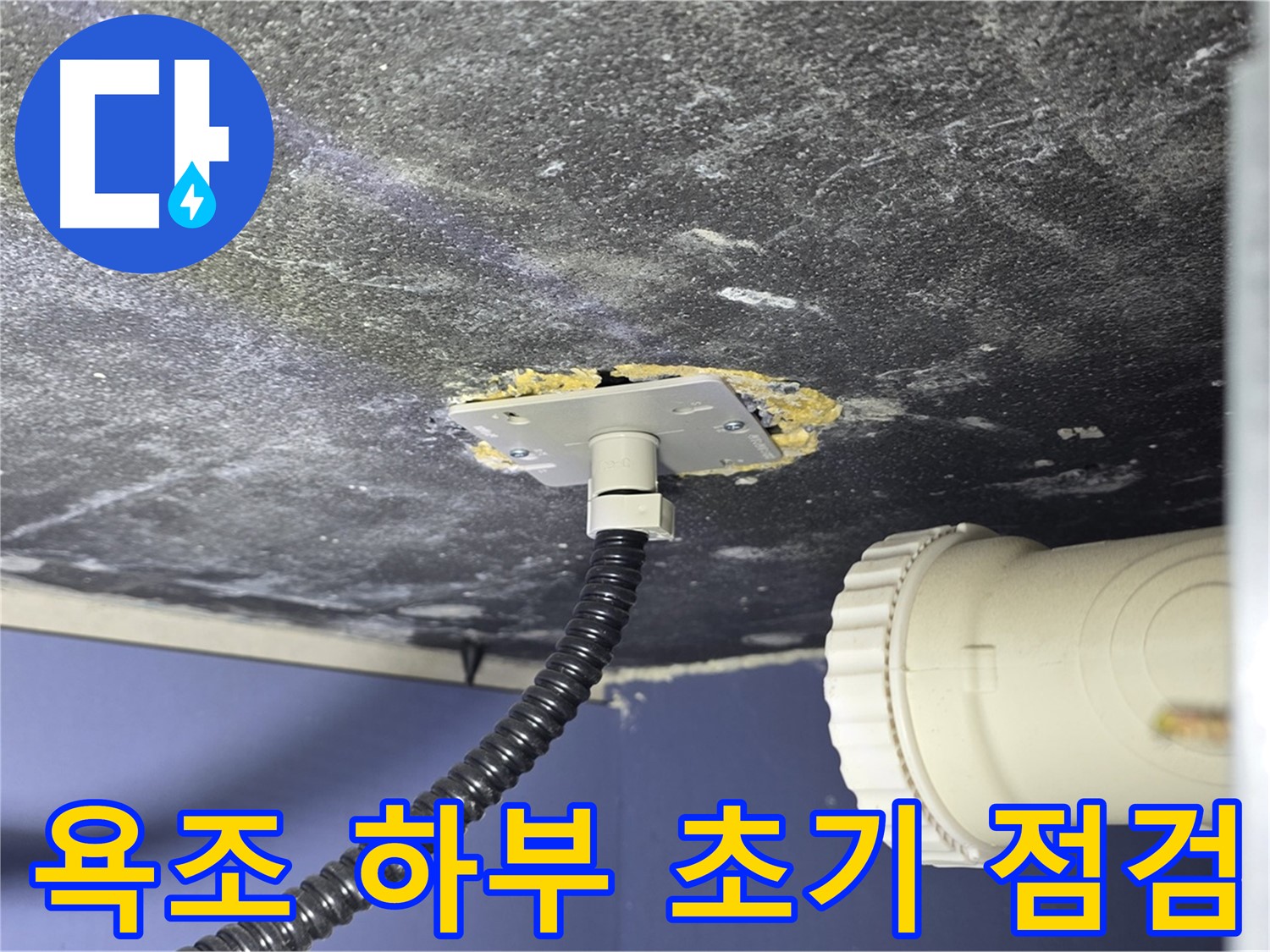운정어반프라임 욕조 하부 누수 - 초기 점검 단계에서 누수 의심 부위를 확인하는 모습