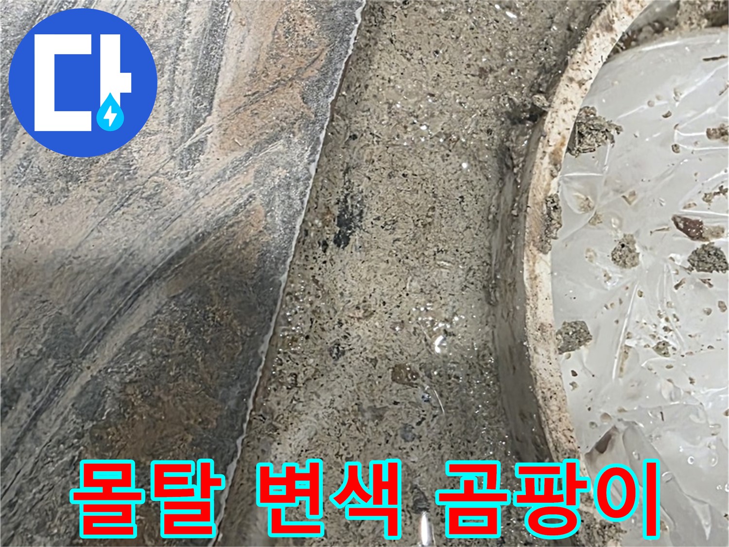 유가 주변 몰탈 변색 - 곰팡이 발생 - 건강 위협