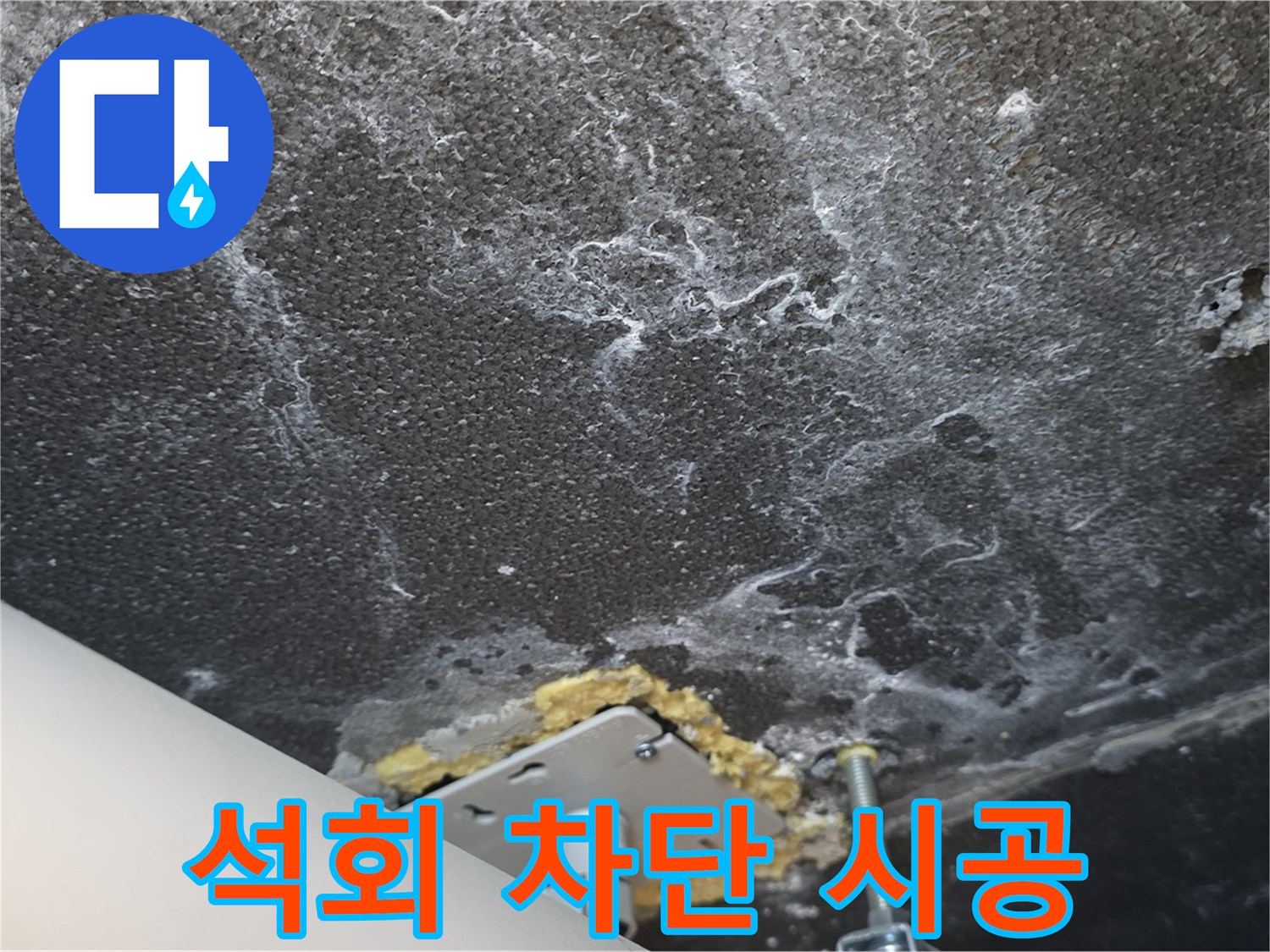 파주 누수 전문가 - 석회 재발 완벽 차단 전문 시공 중