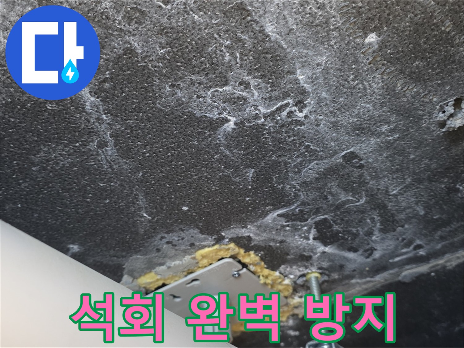 파주 누수 전문가 - 천장 누수 석회 완벽 방지 전문 시공