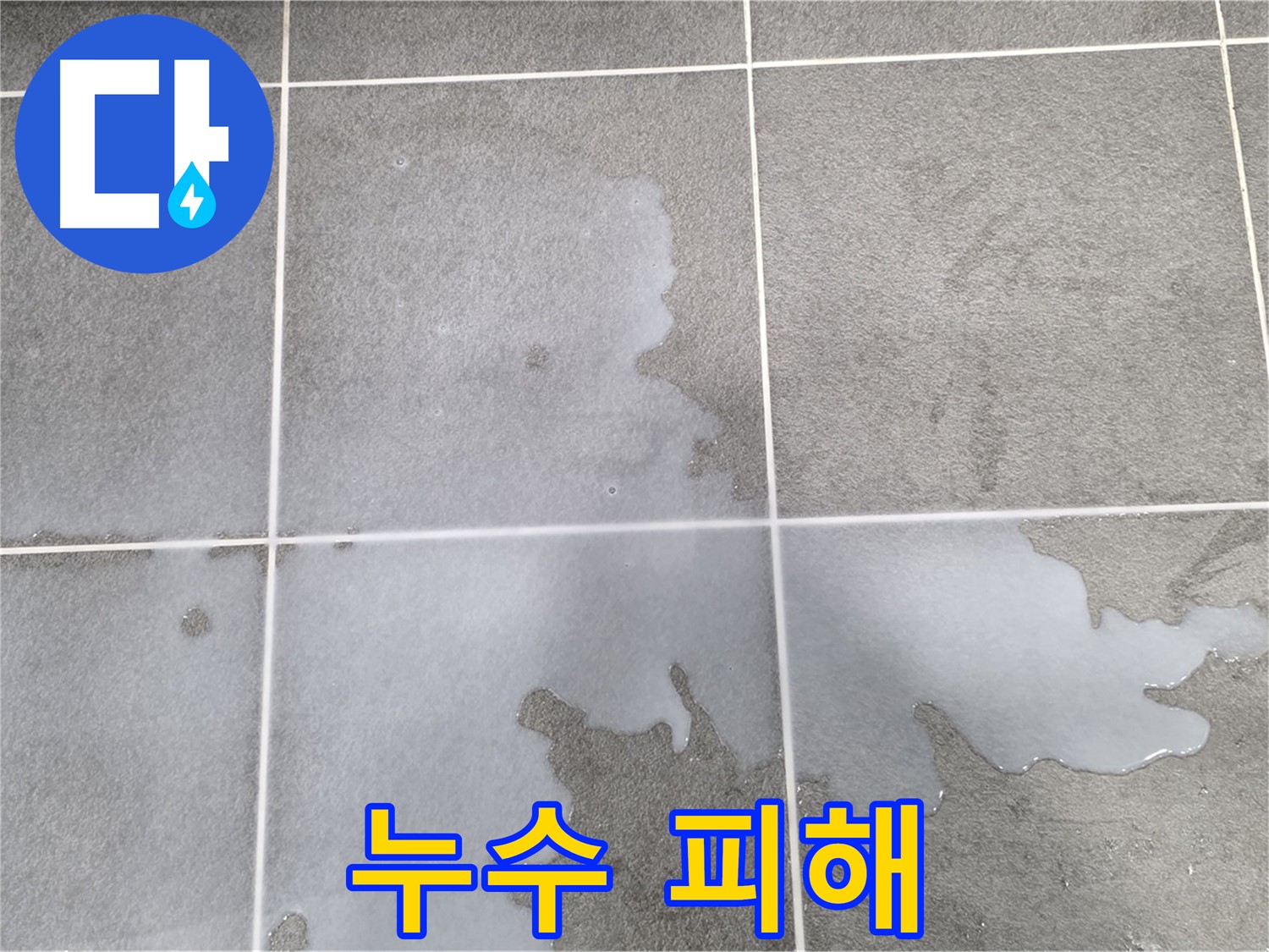파주 동패동 아파트 욕실 누수 피해 - 신속한 탐지와 정확한 보수