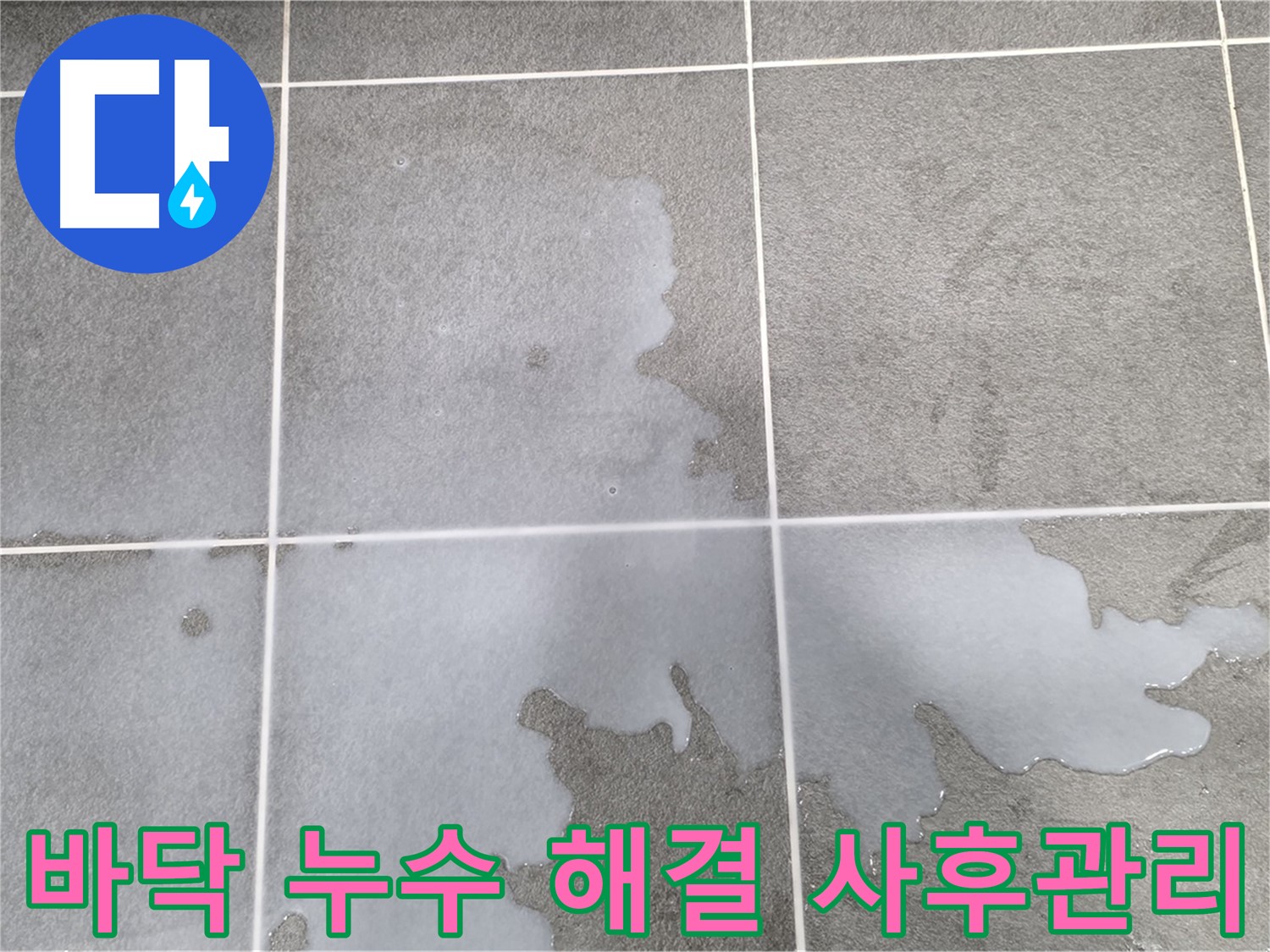 파주 동패동 아파트 욕실 바닥 누수 - 1201동 완벽 해결 및 철저한 사후 관리