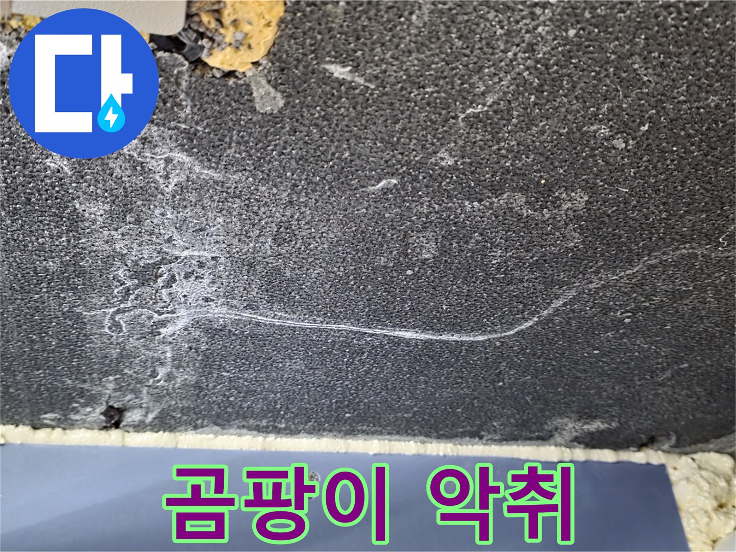파주 동패동 아파트 천장 누수 - 곰팡이 악취 발생, 누수 범위 탐색