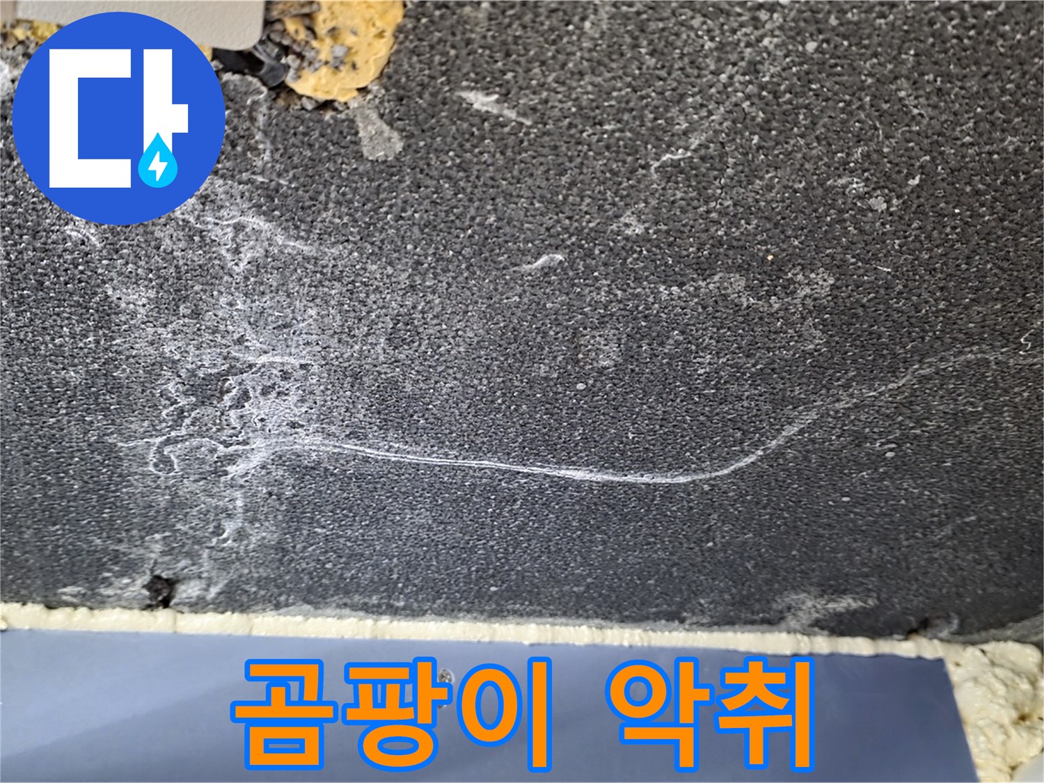 파주 동패동 아파트 천장 누수 - 곰팡이 악취 발생, 누수 범위 탐색