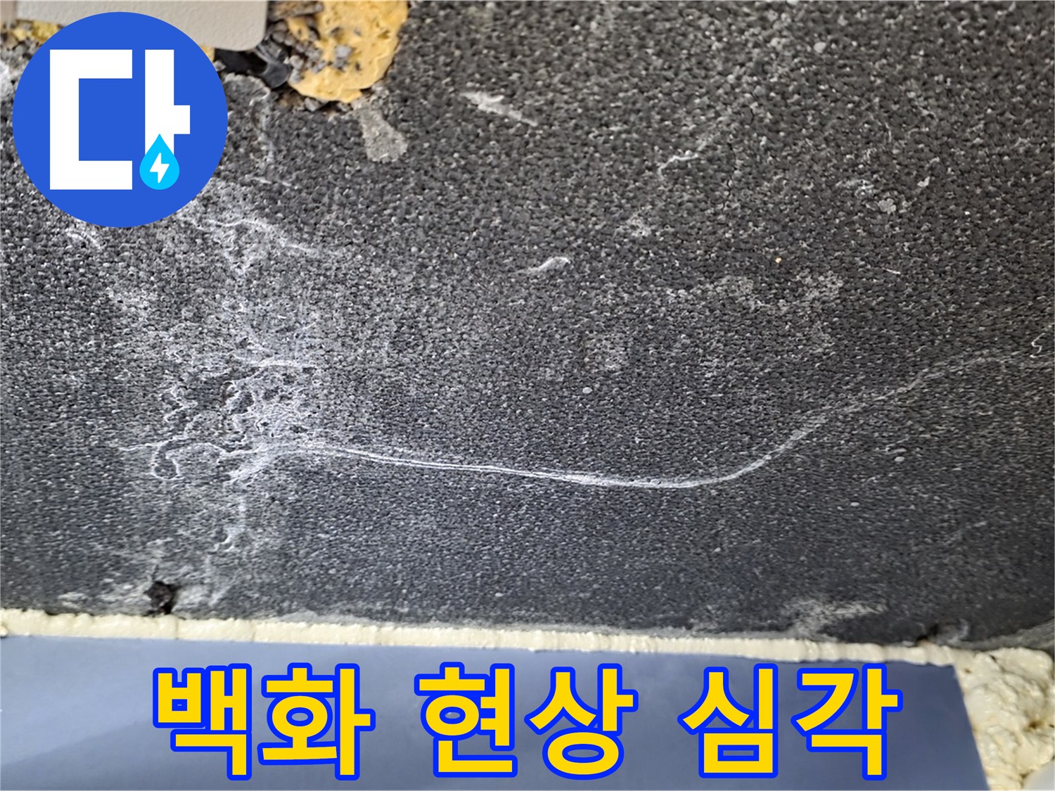 파주 동패동 아파트 천장 누수 - 백화 현상 심각, 누수 범위 탐색