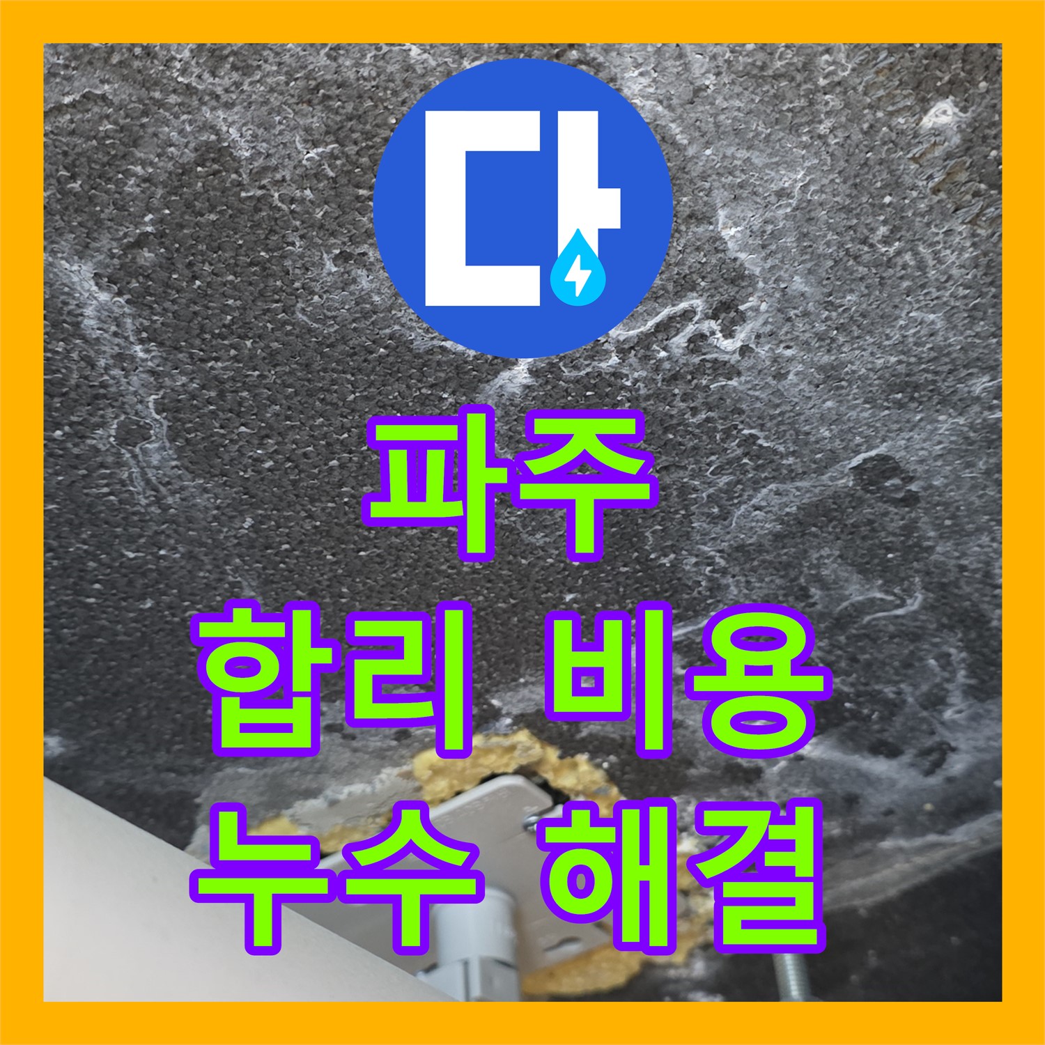 파주시, 누수탐지업체, 합리적인 비용으로 누수 해결