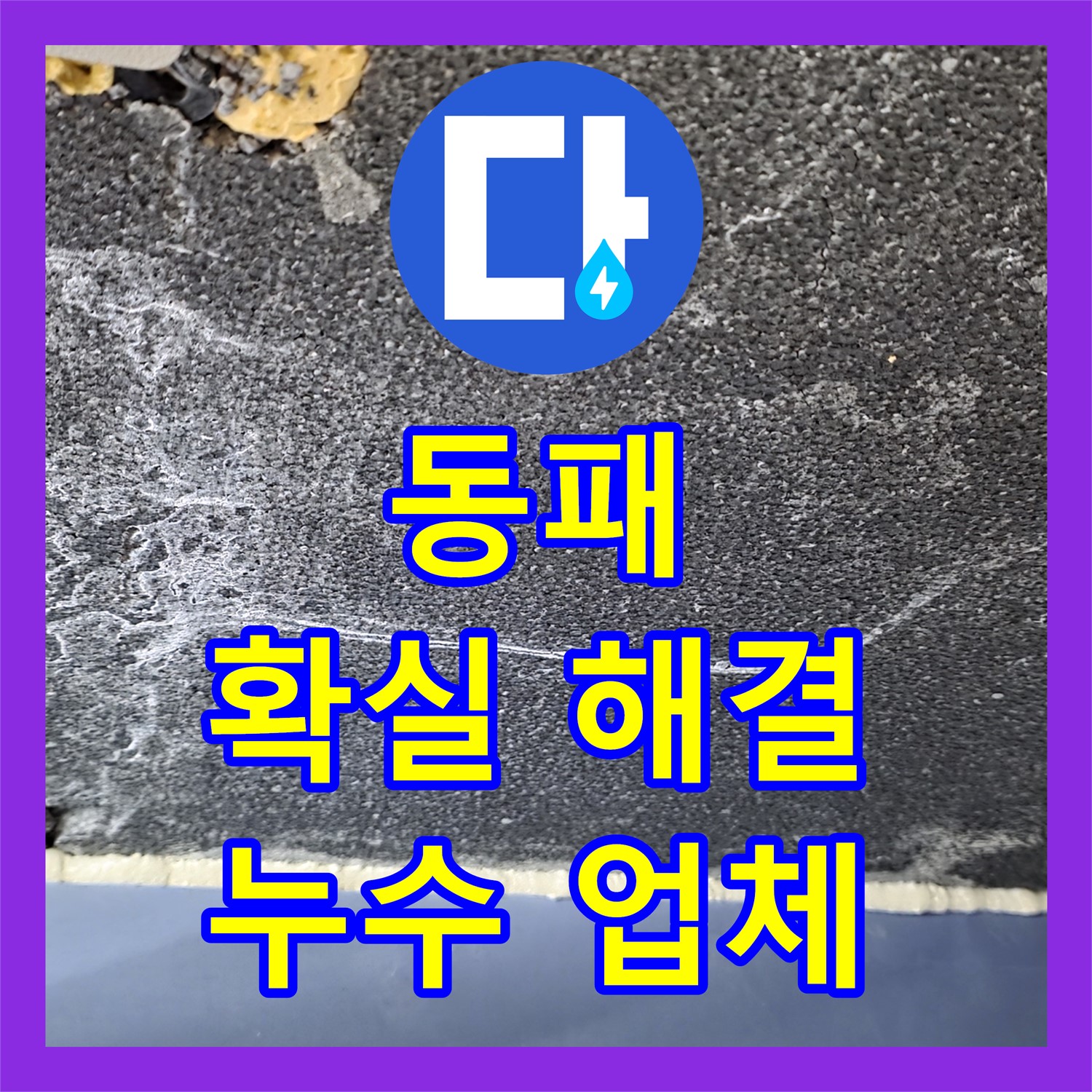 파주시 동패, 누수설비업체, 확실한 해결 약속