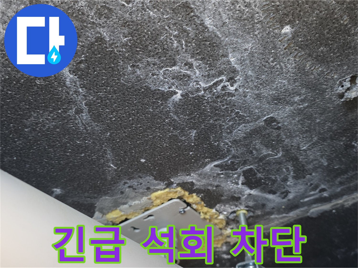 파주시 동패동 누수 - 긴급 석회 누수 완벽 차단 완료