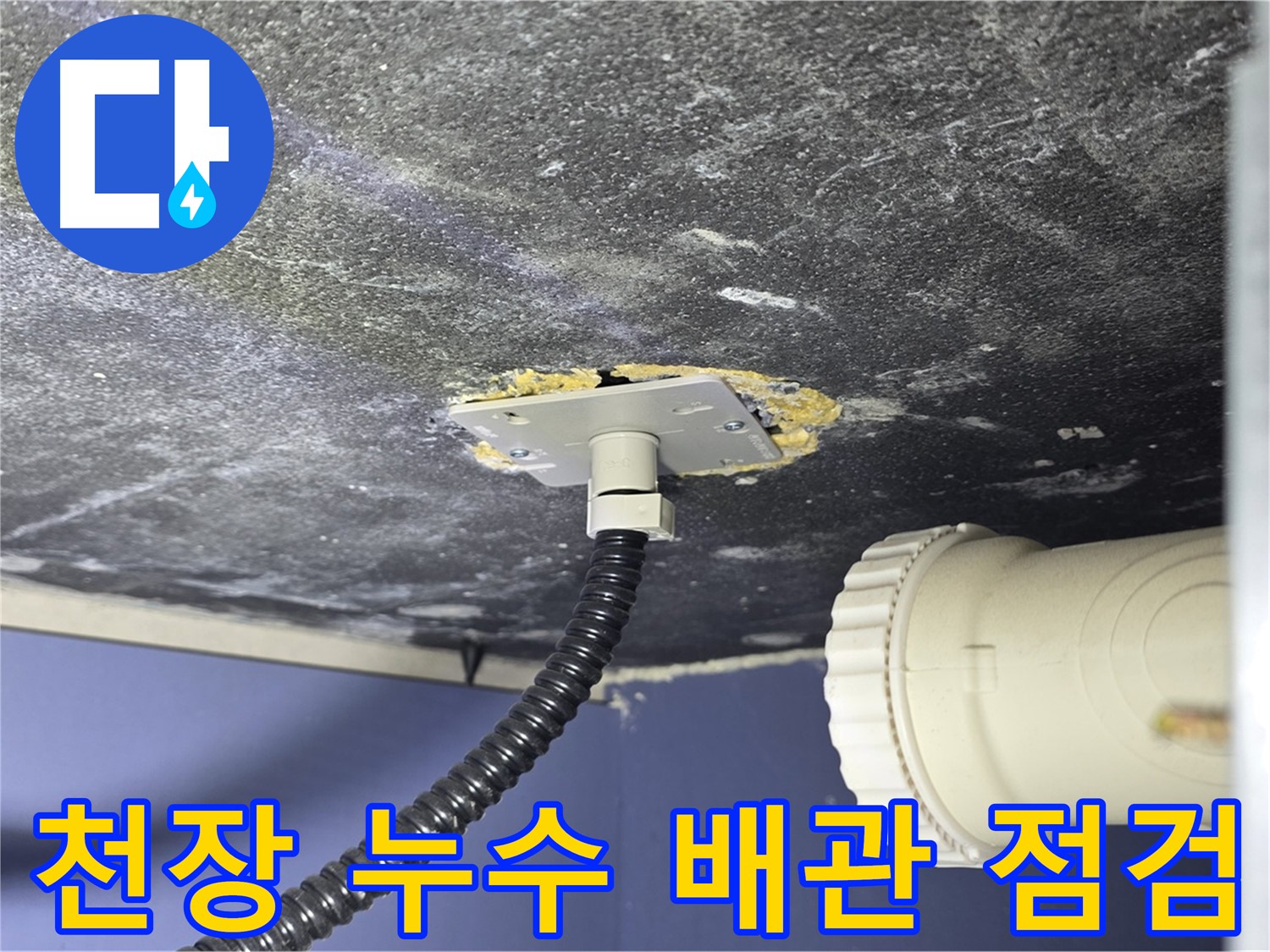 파주시 동패동 아파트 욕실 천장 누수 - 배관 연결 상태를 꼼꼼하게 점검하는 모습
