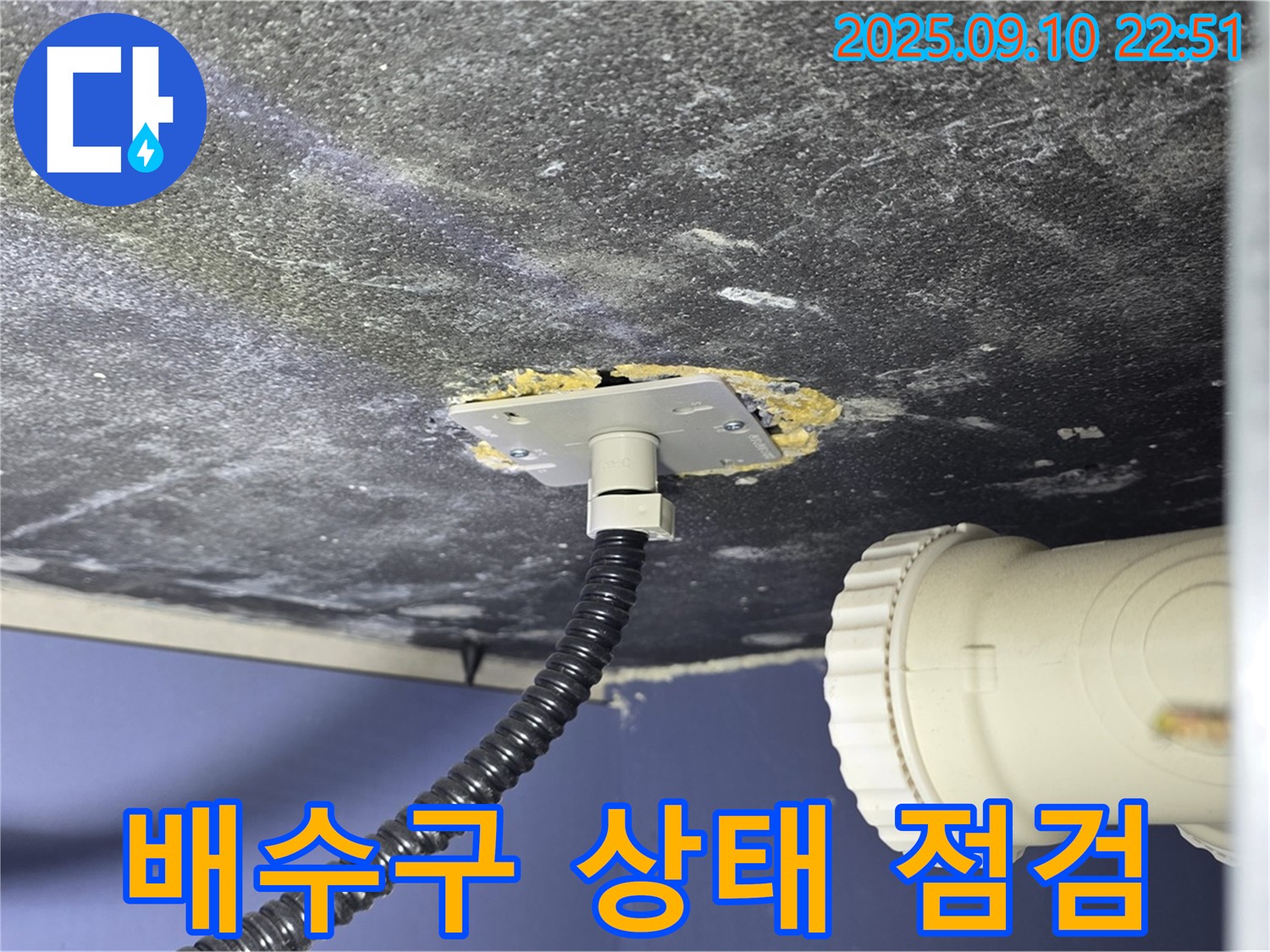 파주시 동패동 아파트 욕조 누수 - 배수구 연결 상태를 꼼꼼하게 점검하는 모습 - 숙련된 기술로 정확하게 진단