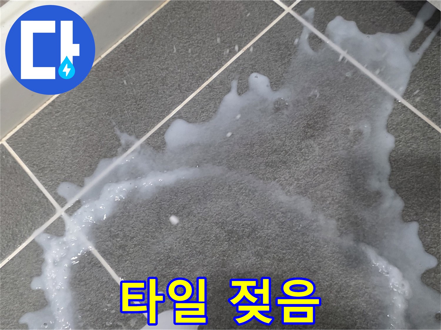 파주시 동패동 운정어반프라임 1201동 아파트 타일 젖음 - 누수탐지 전문 업체가 누수 진단과 책임감 있는 시공으로 문제 해결