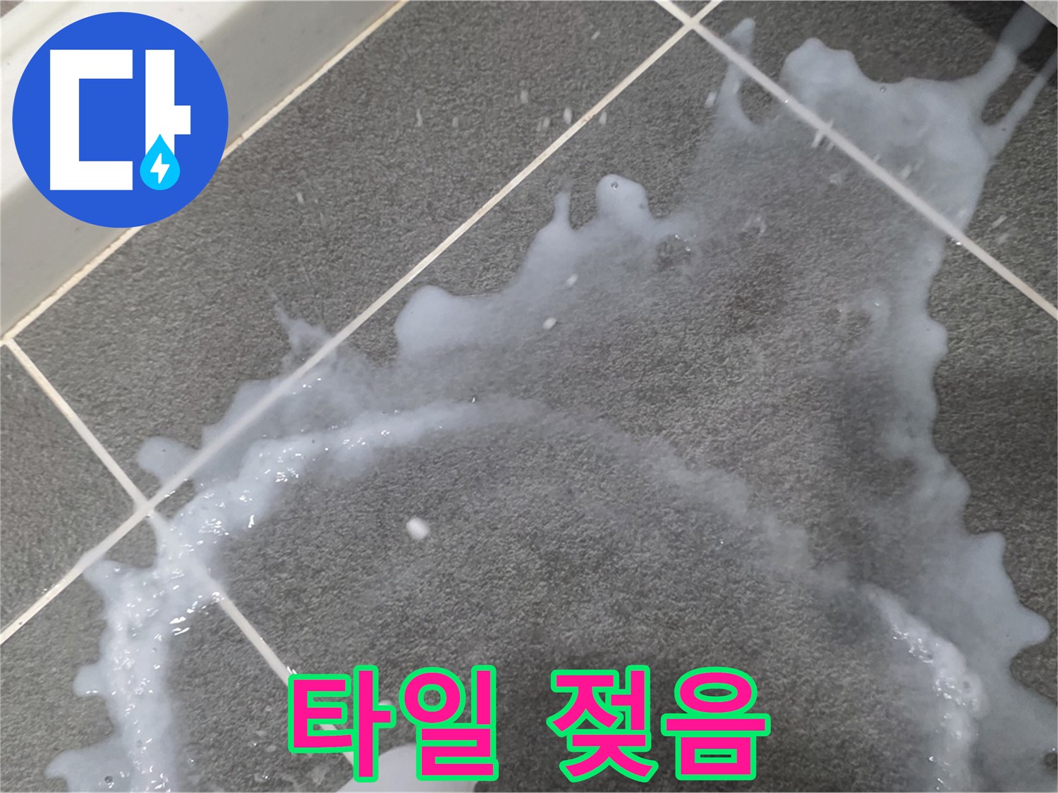 파주시 동패동 운정어반프라임 1201동 아파트 타일 젖음 - 누수탐지 전문 업체가 누수 진단과 책임감 있는 시공으로 문제를 해결합니다.