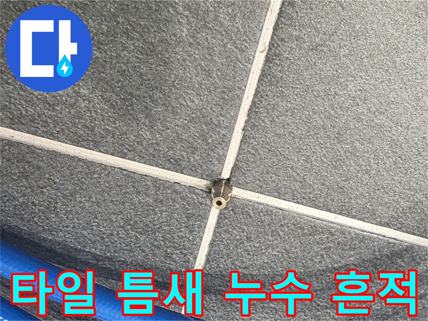 파주시 동패동 운정어반프라임 아파트 누수 - 타일 틈새에 나타난 누수 흔적을 발견했습니다.