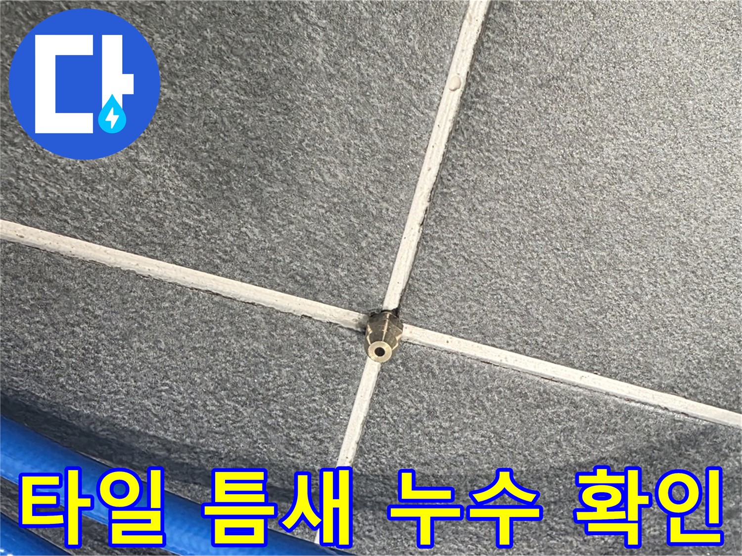 파주시 동패동 운정어반프라임 아파트 누수 - 타일 틈새에서 누수 지점을 확인하고 있습니다.