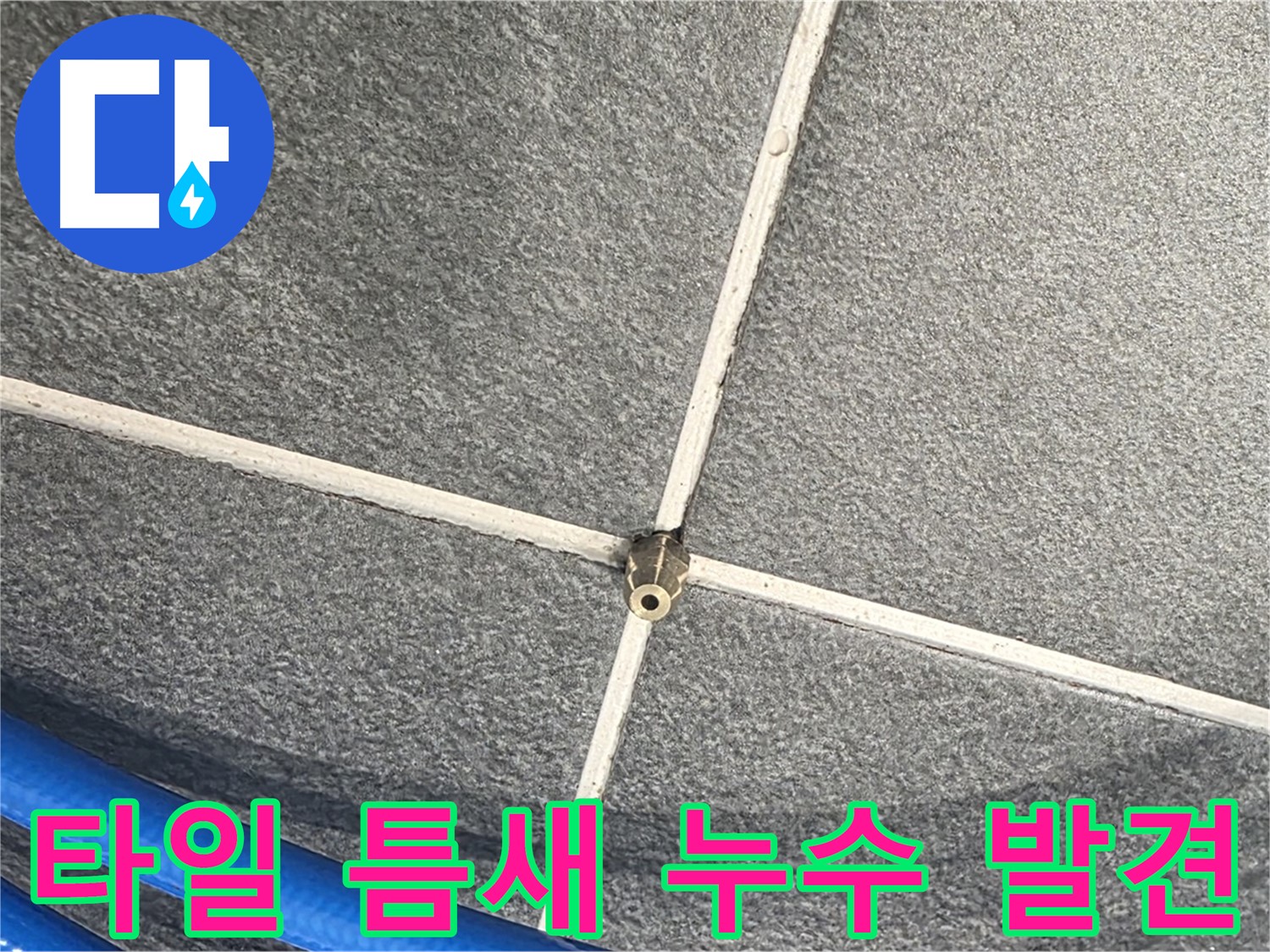 파주시 동패동 운정어반프라임 아파트 누수 - 타일 틈새에서 발생하는 누수를 발견한 모습입니다.