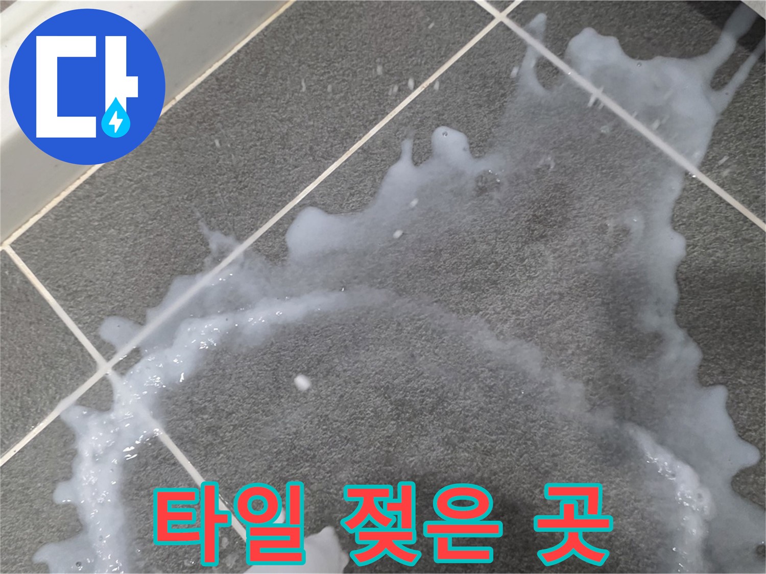 파주시 동패동 운정어반프라임 타일 젖은 곳 - 누수탐지 전문 업체가 초기 누수 진단과 책임감 있는 시공으로 문제를 해결합니다.