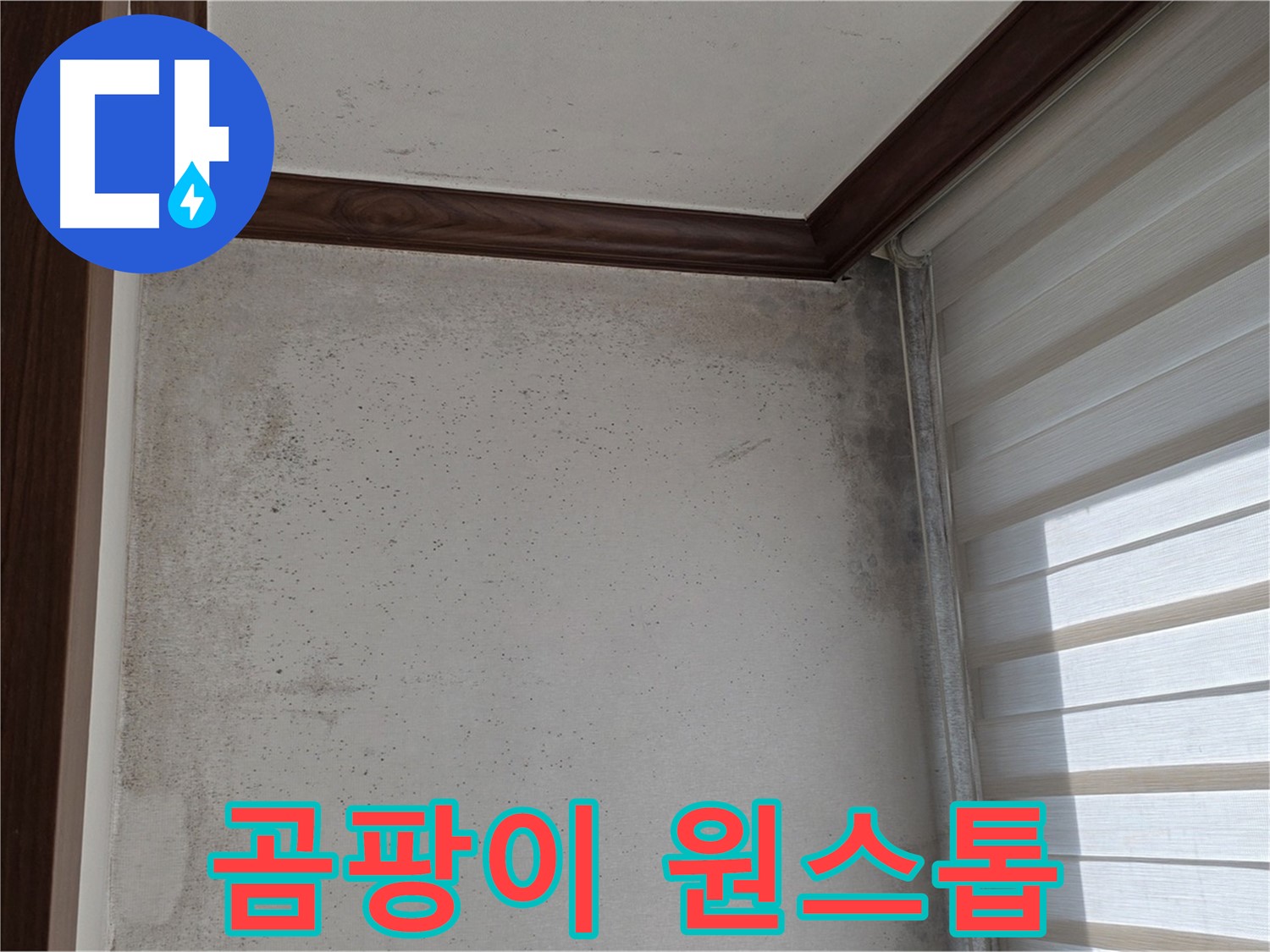 노원구 중계2동 현대5차 곰팡이 누수 - 원스톱 솔루션으로 완벽 해결