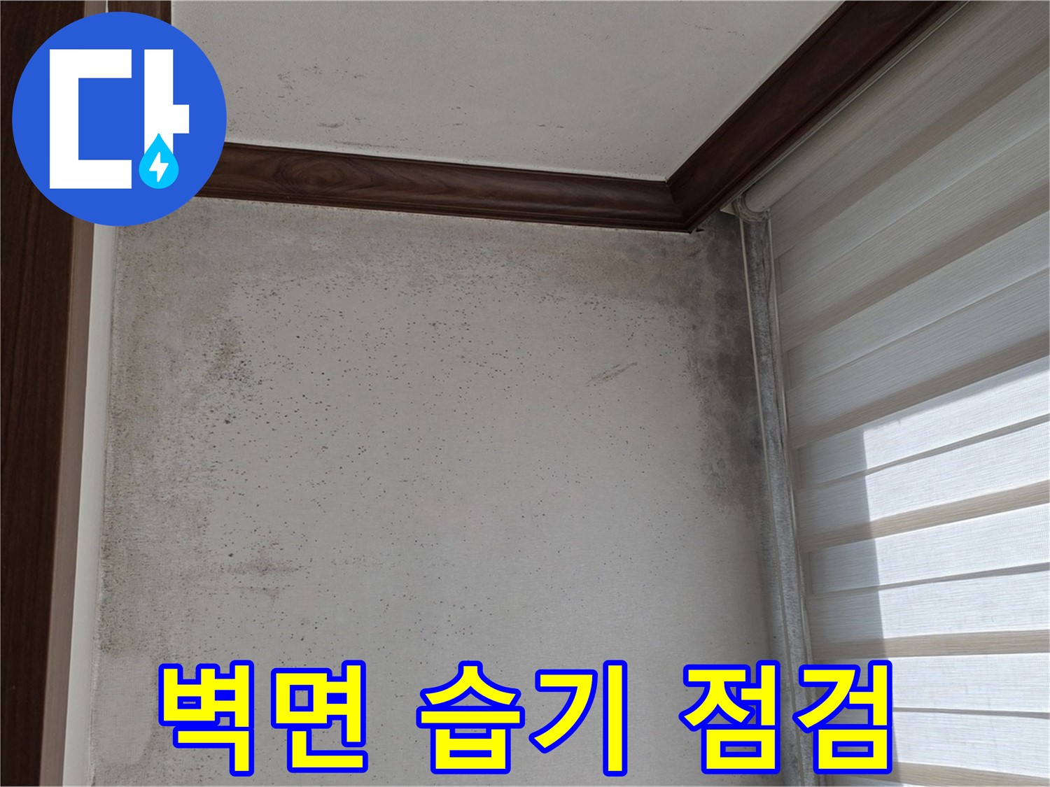 노원구 중계동 벽면 습기 - 누수 의심 부위 꼼꼼한 점검 및 진단