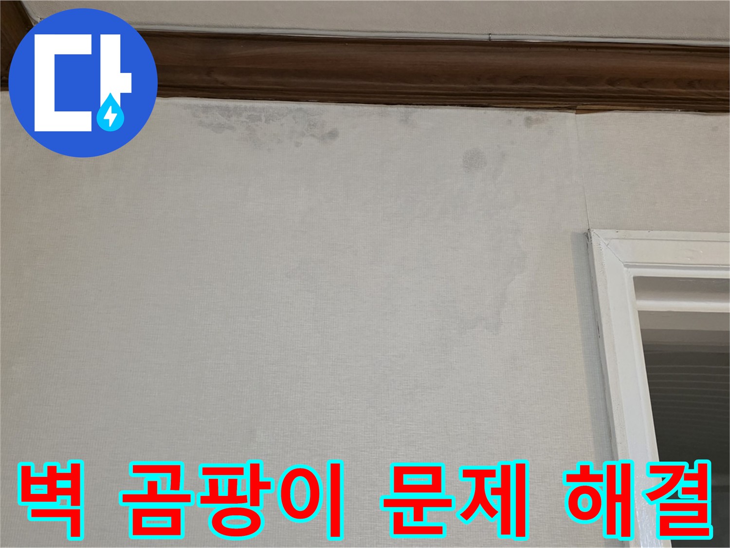 노원구 중계동 현대5차 211동 벽 곰팡이 - 누수 문제 해결 전문가의 정확한 진단