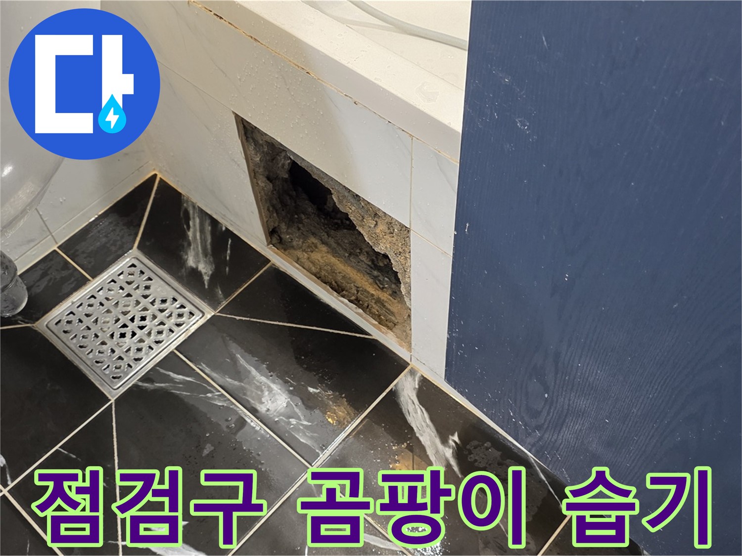 노원구 중계동 현대5차 211동 욕실 - 점검구 주변 곰팡이와 습기 문제 확인