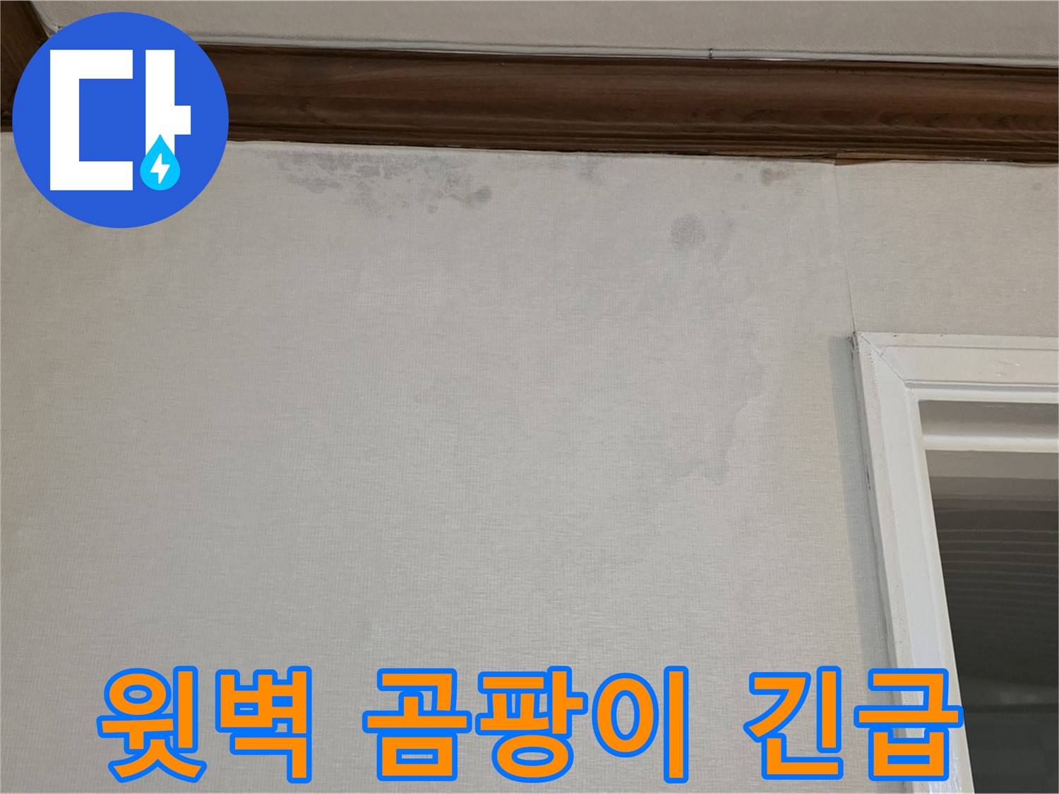 노원구 중계동 현대5차 211동 윗벽 곰팡이 - 건강 위협 - 긴급 누수 해결