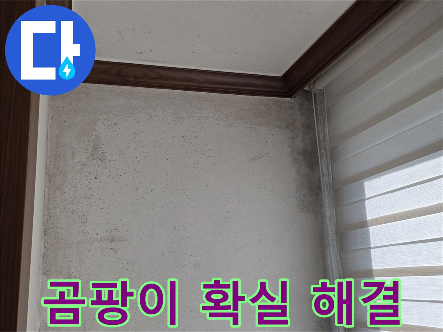 노원구 중계동 현대5차 곰팡이 누수 - 확실하게 해결, 고객 만족 약속