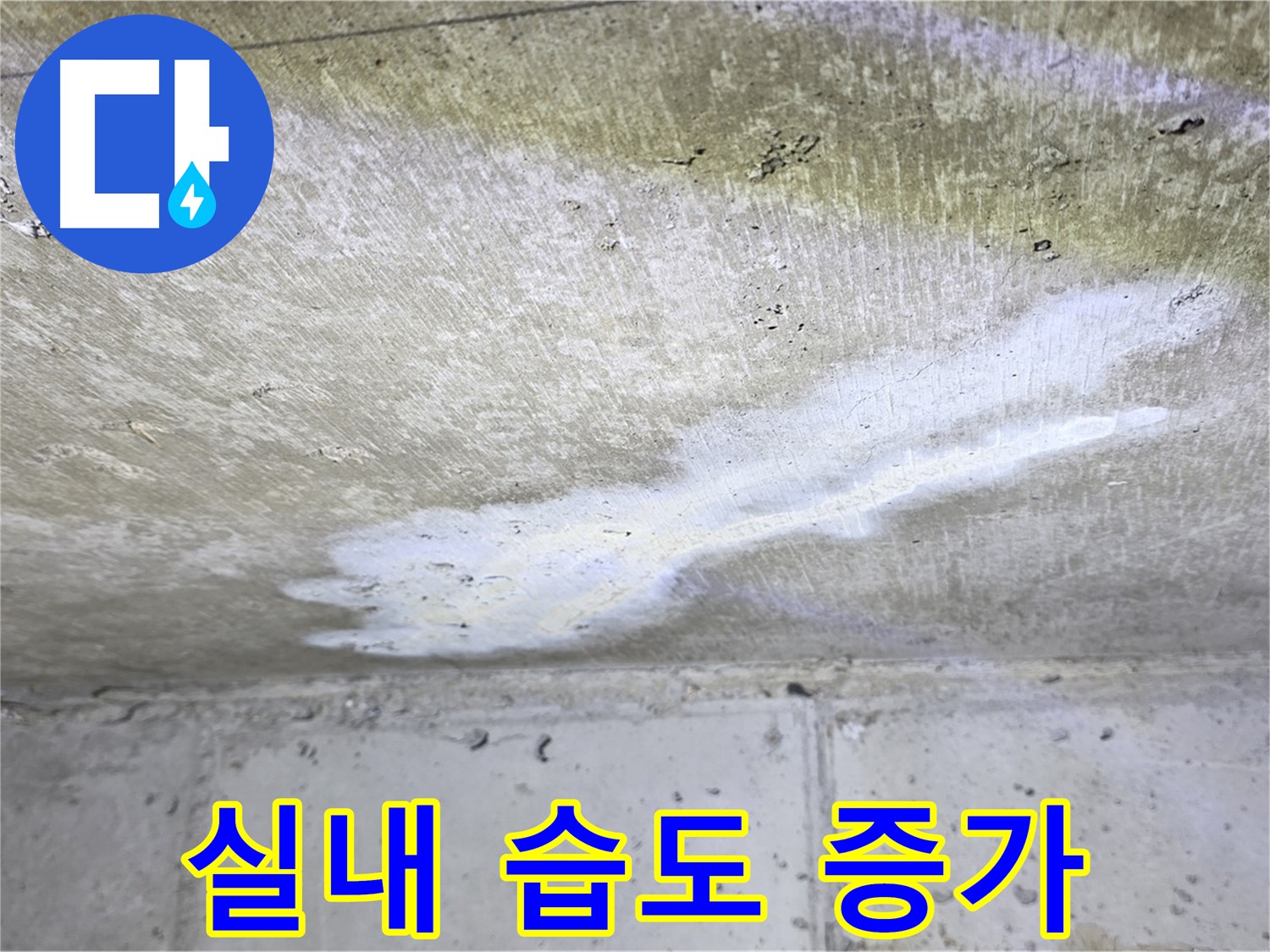 노원구 중계동 현대5차 누수 - 실내 습도 증가 - 쾌적함 저해