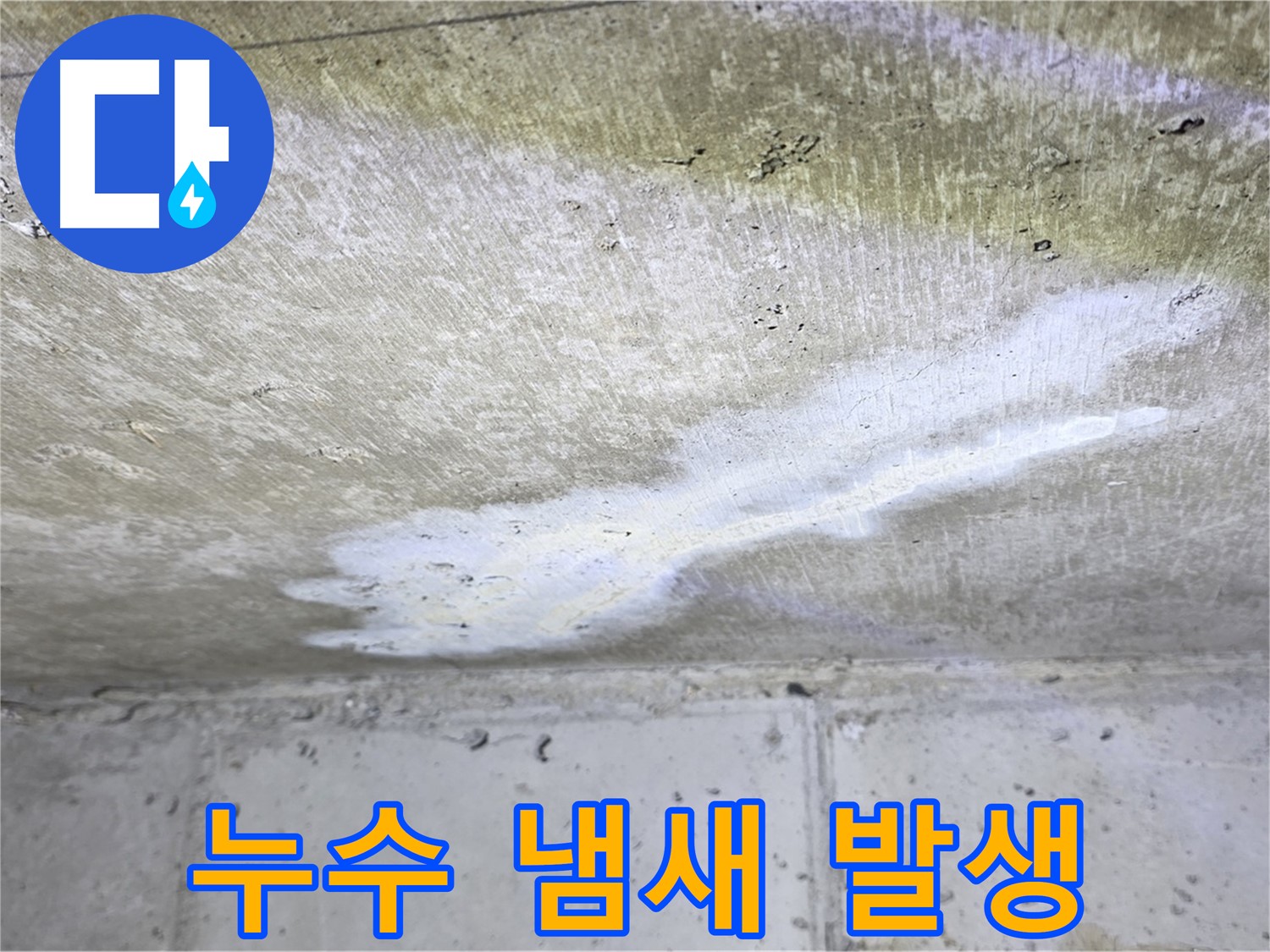 노원구 중계동 현대5차 누수 - 악취 발생 - 쾌적함 저해