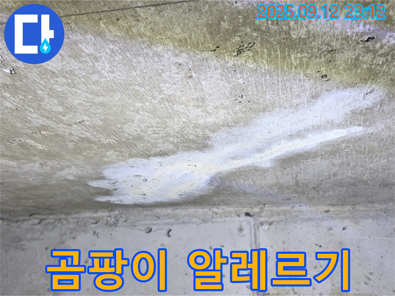 노원구 중계동 현대5차 아파트 누수 - 곰팡이 알레르기 유발 - 시급한 해결