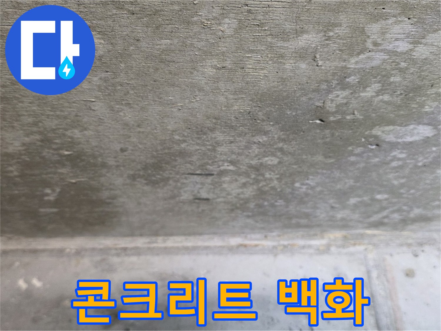 노원구 중계동 현대5차 아파트 누수 - 콘크리트 백화 현상이 발생한 모습입니다.