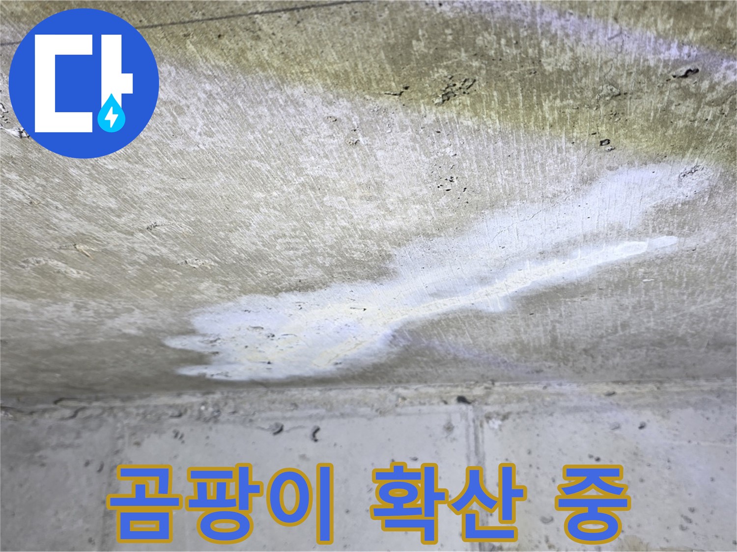노원구 중계동 현대5차 천장 누수 - 곰팡이 확산 - 건강 위협