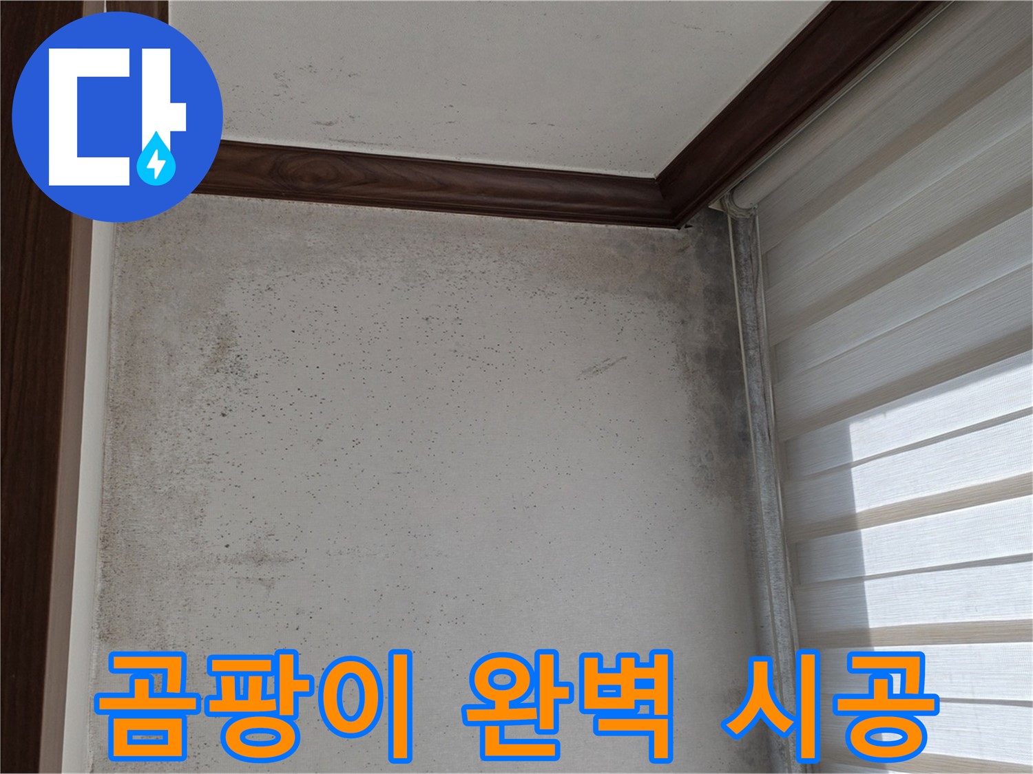 중계2동 현대5차 곰팡이 누수 - 완벽한 시공, 확실한 결과 보장