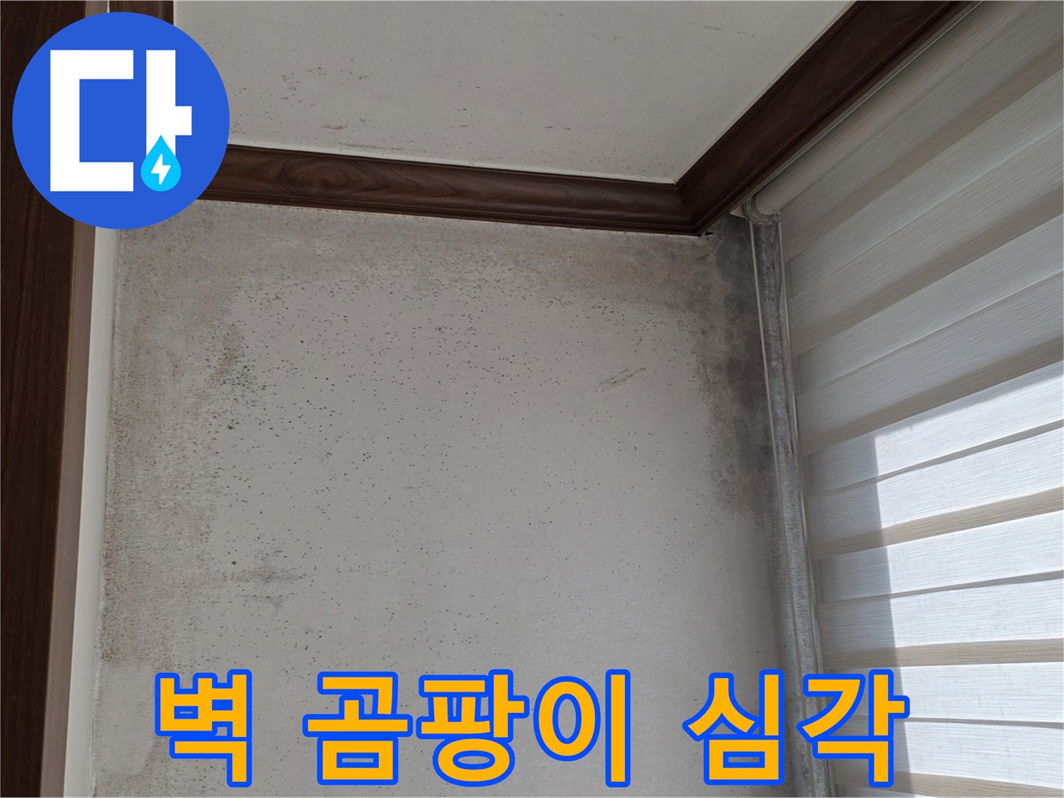 중계2동 현대5차 아파트 벽 곰팡이 - 심각한 누수 의심, 긴급 점검 실시