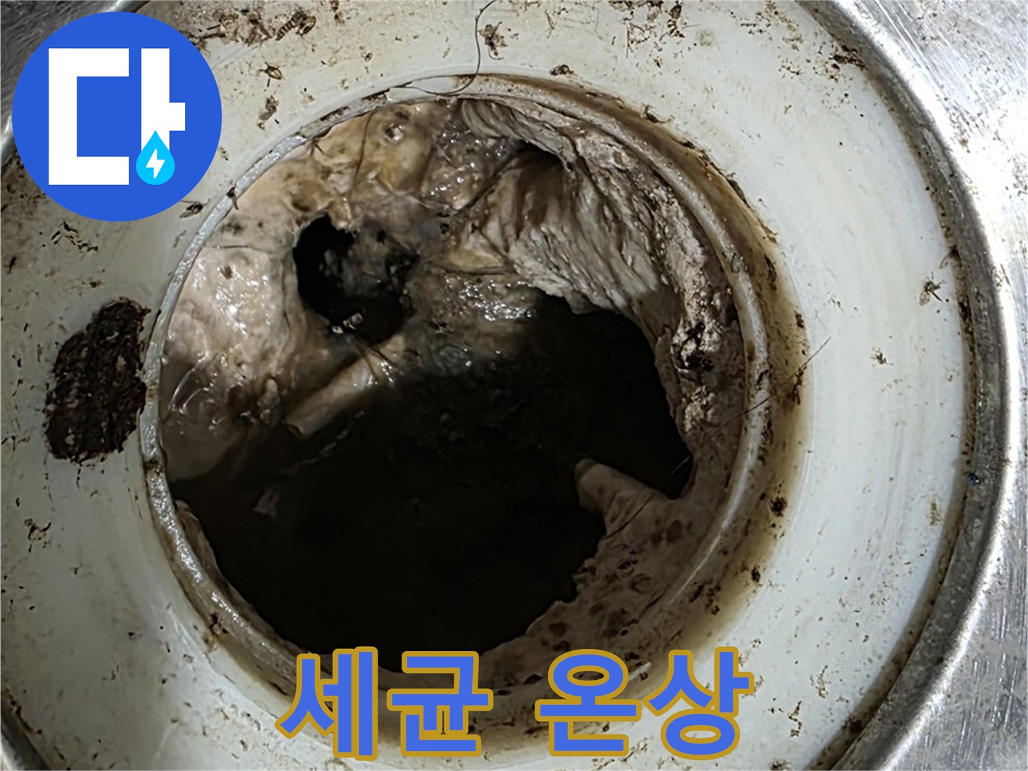 중계동 현대5차 211동 누수 - 배수구 속 찌꺼기 - 악취와 세균의 온상