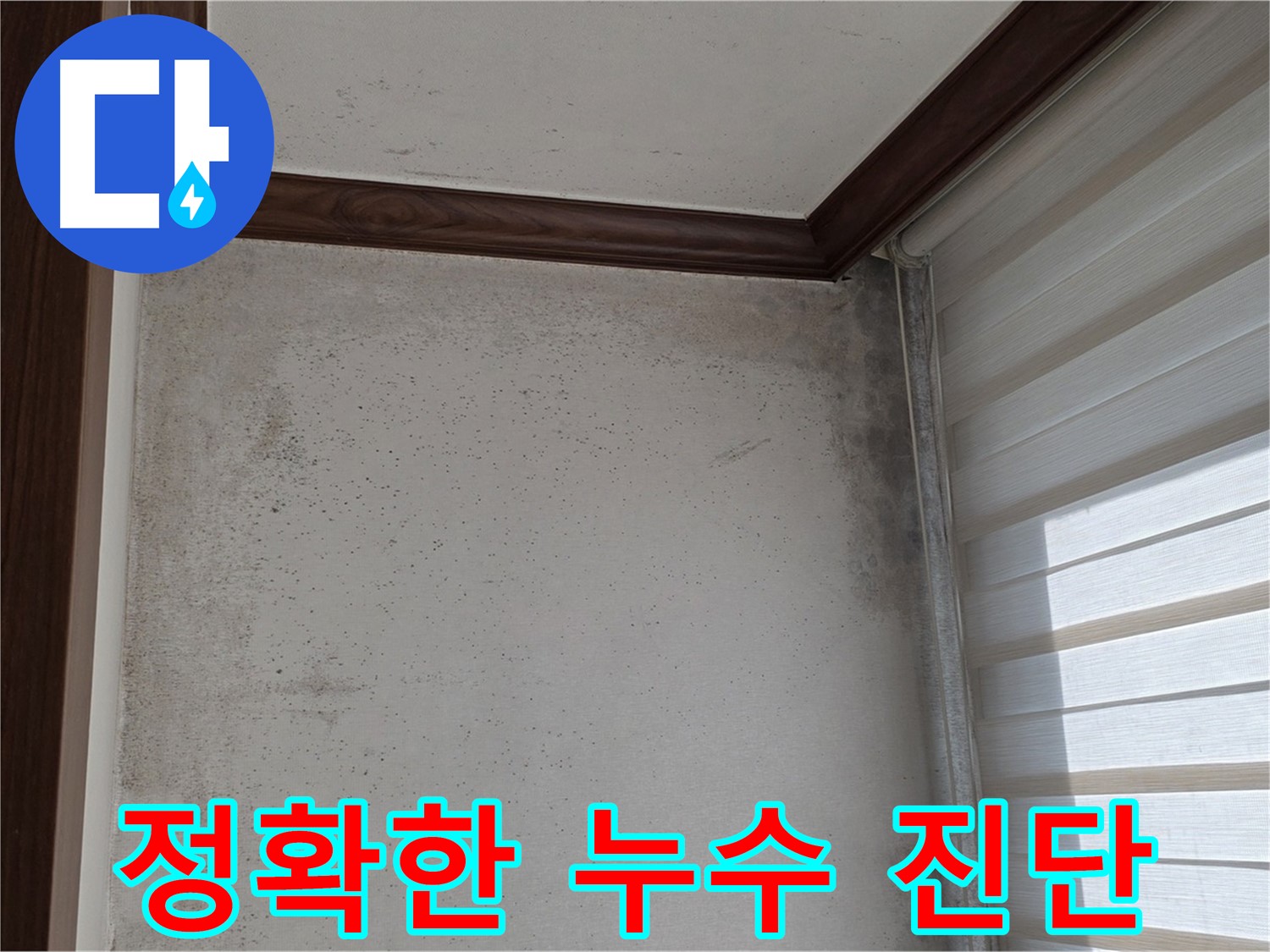 중계동 현대5차 누수 - 첨단 장비를 이용한 정확한 누수 진단