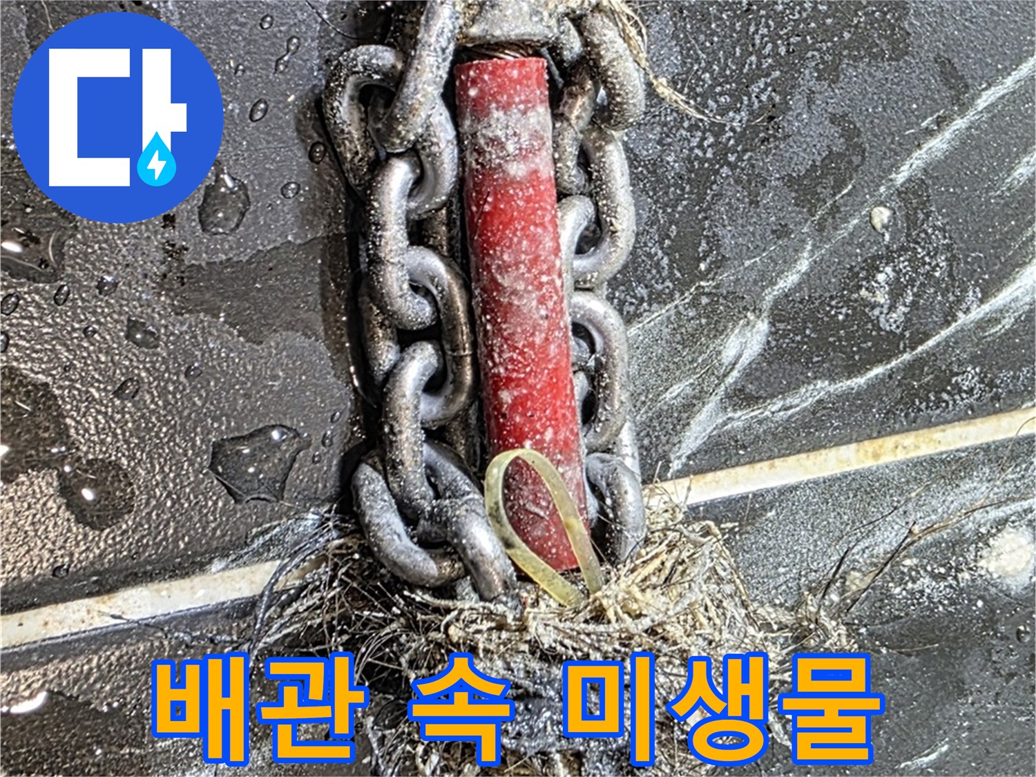 중계동 현대5차 아파트 누수 - 배관 속 '미생물'처럼 엉켜있는 이물질 덩어리