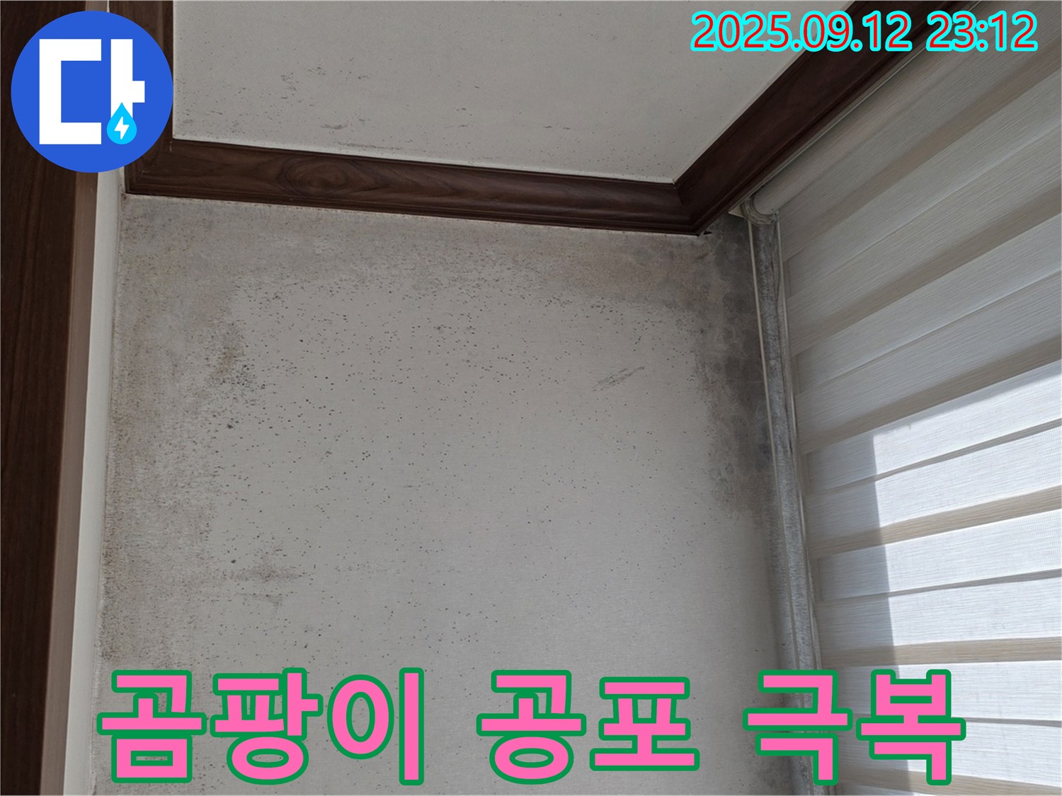 중계동 현대5차 아파트 누수 해결 - 곰팡이 공포를 극복하고 완벽하게 해결한 비법을 전수합니다.