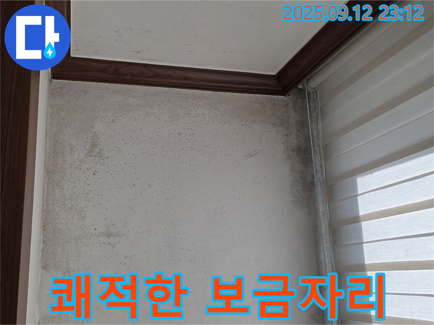 중계동 현대5차 아파트 누수 해결 - 곰팡이와의 악연을 끝내고 쾌적한 보금자리로 만들어 드립니다.