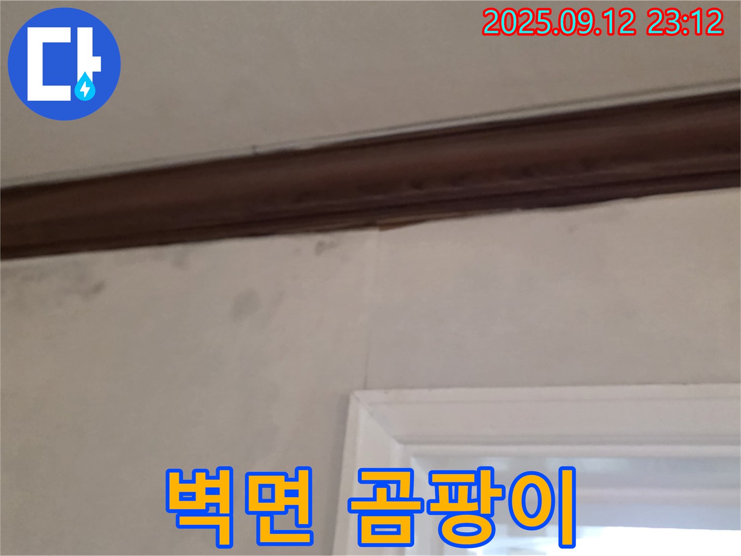중계동 현대5차 아파트 벽면 누수 - 곰팡이