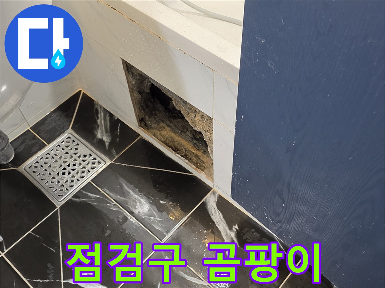 중계동 현대5차 아파트 - 욕실 점검구 내부 곰팡이 발생