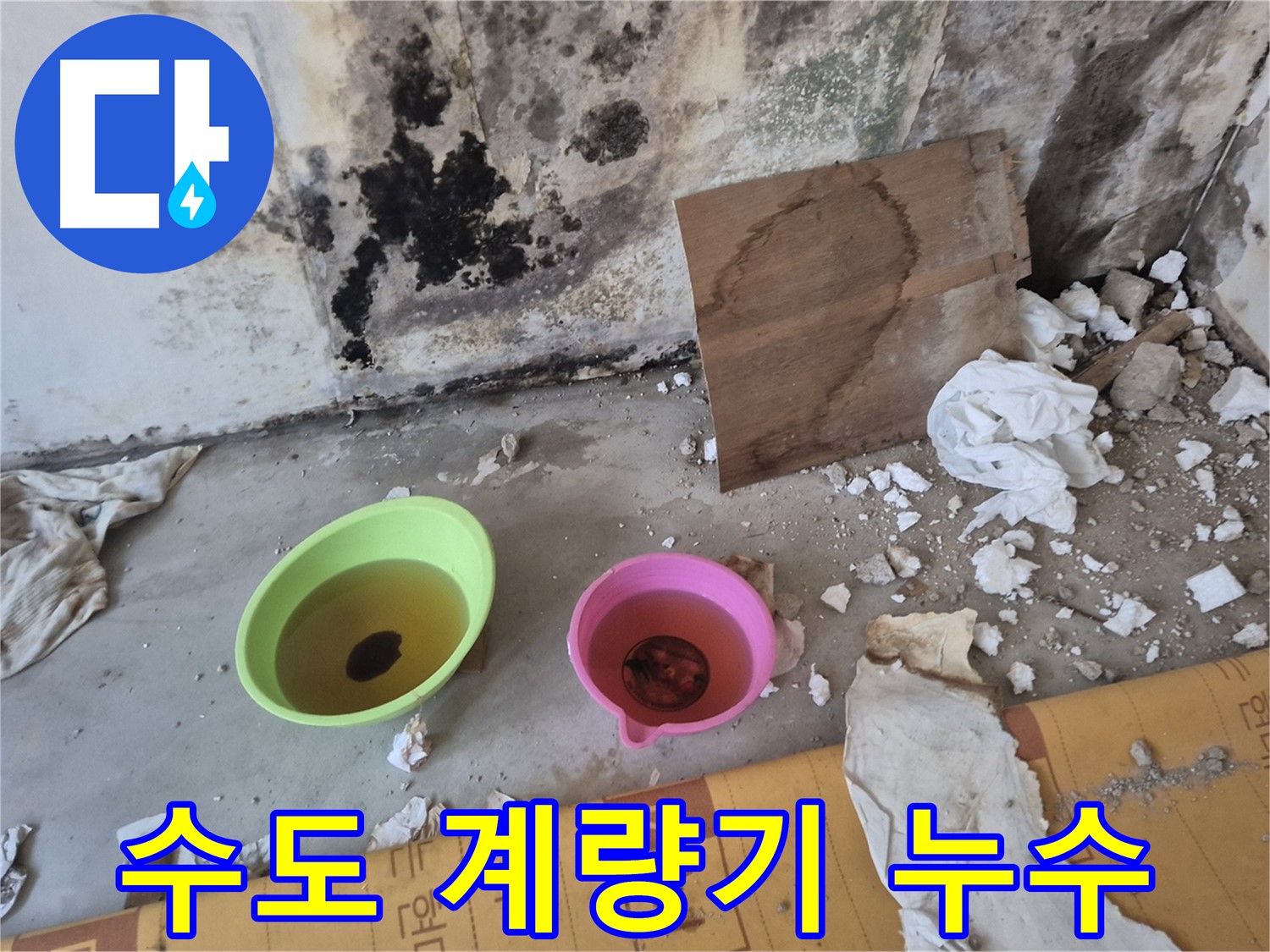 도봉구 숭미가든빌라 수도 계량기 누수 현장 - 수도 계량기 주변이 젖어있고, 바닥에 물이 고여있는 모습입니다. 수도 요금 폭탄의 주범!