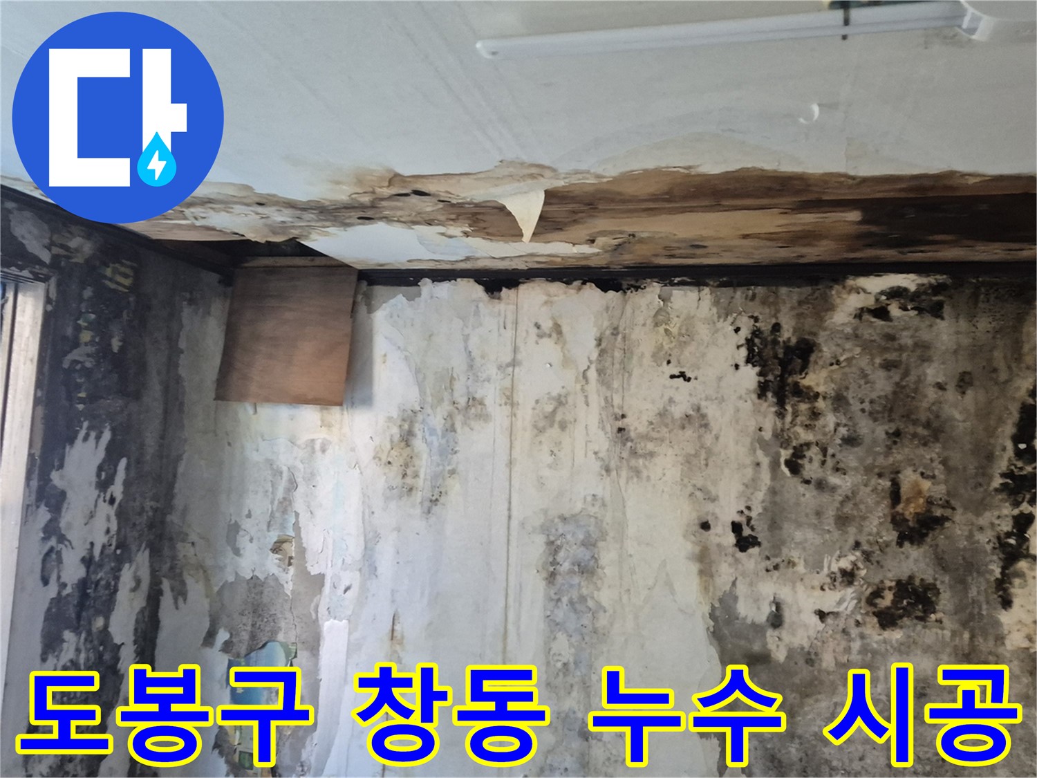 도봉구 창동 벽면 누수 시공 과정 - 누수 원인 진단부터 완벽한 시공까지 꼼꼼하게 담았습니다.