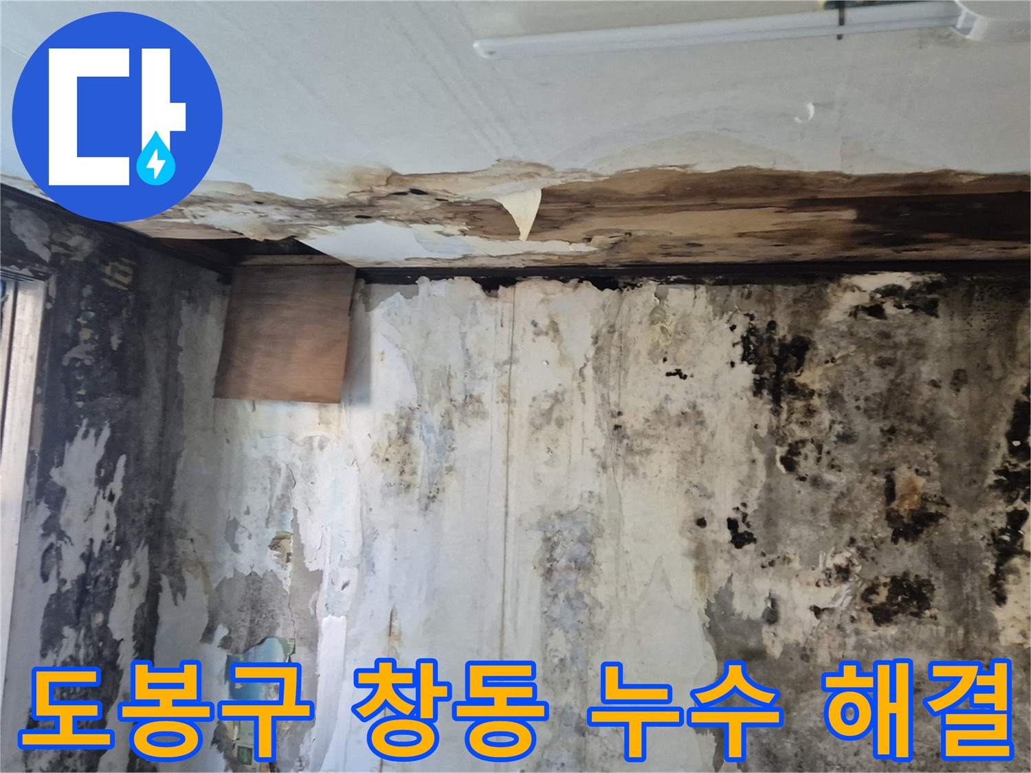 도봉구 창동 벽면 누수 해결 과정 - 누수 원인 진단부터 완벽한 시공까지 꼼꼼하게 담았습니다.