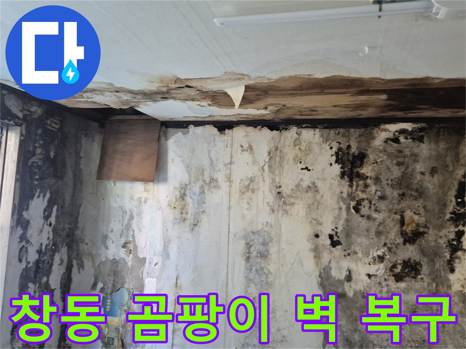 도봉구 창동 주택의 곰팡이 핀 벽면 - 누수 해결과 함께 완벽하게 복구된 과정을 보여줍니다.
