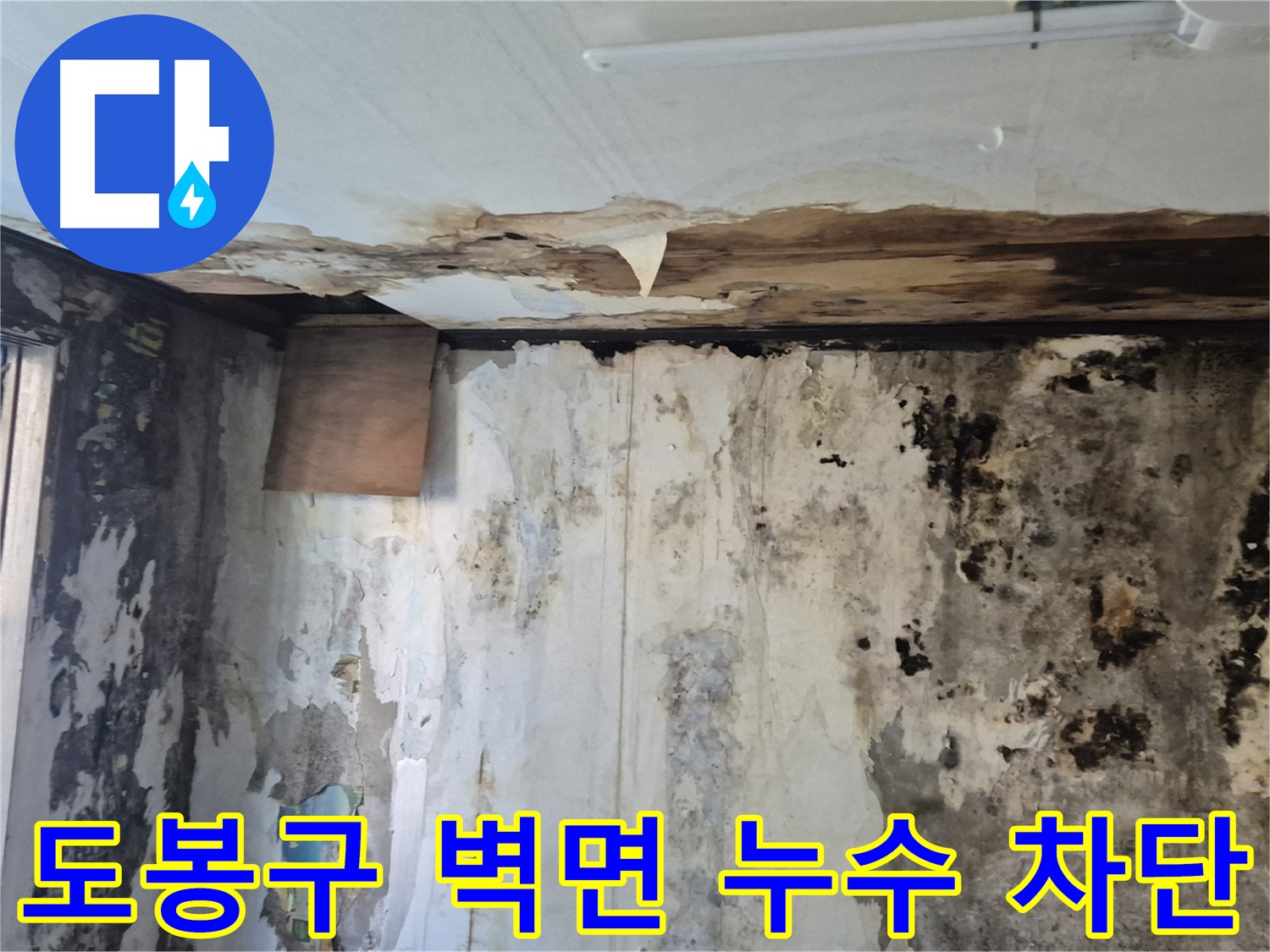 도봉구 창동 주택의 벽면 누수 - 누수 원인을 정확히 파악하고 완벽하게 차단하는 시공 과정을 보여줍니다.