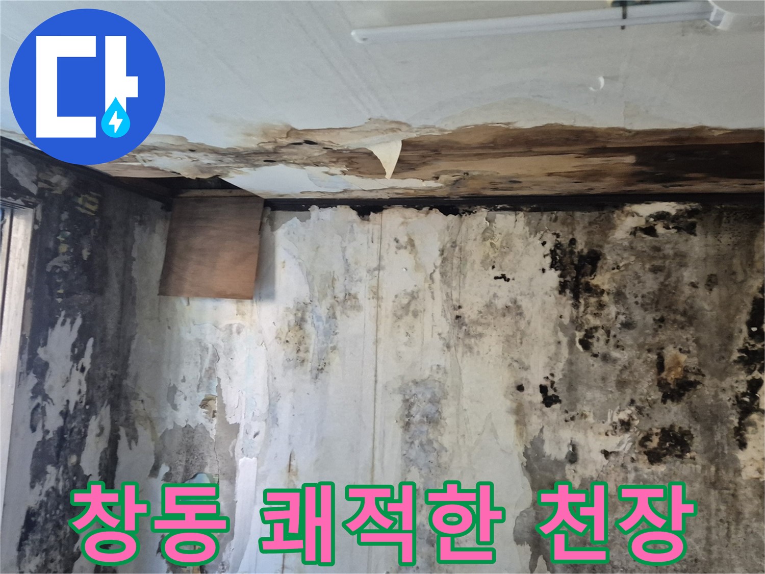 도봉구 창동 주택의 천장 누수 해결 과정 - 누수 원인 진단부터 완벽한 시공까지 꼼꼼하게 담았습니다.